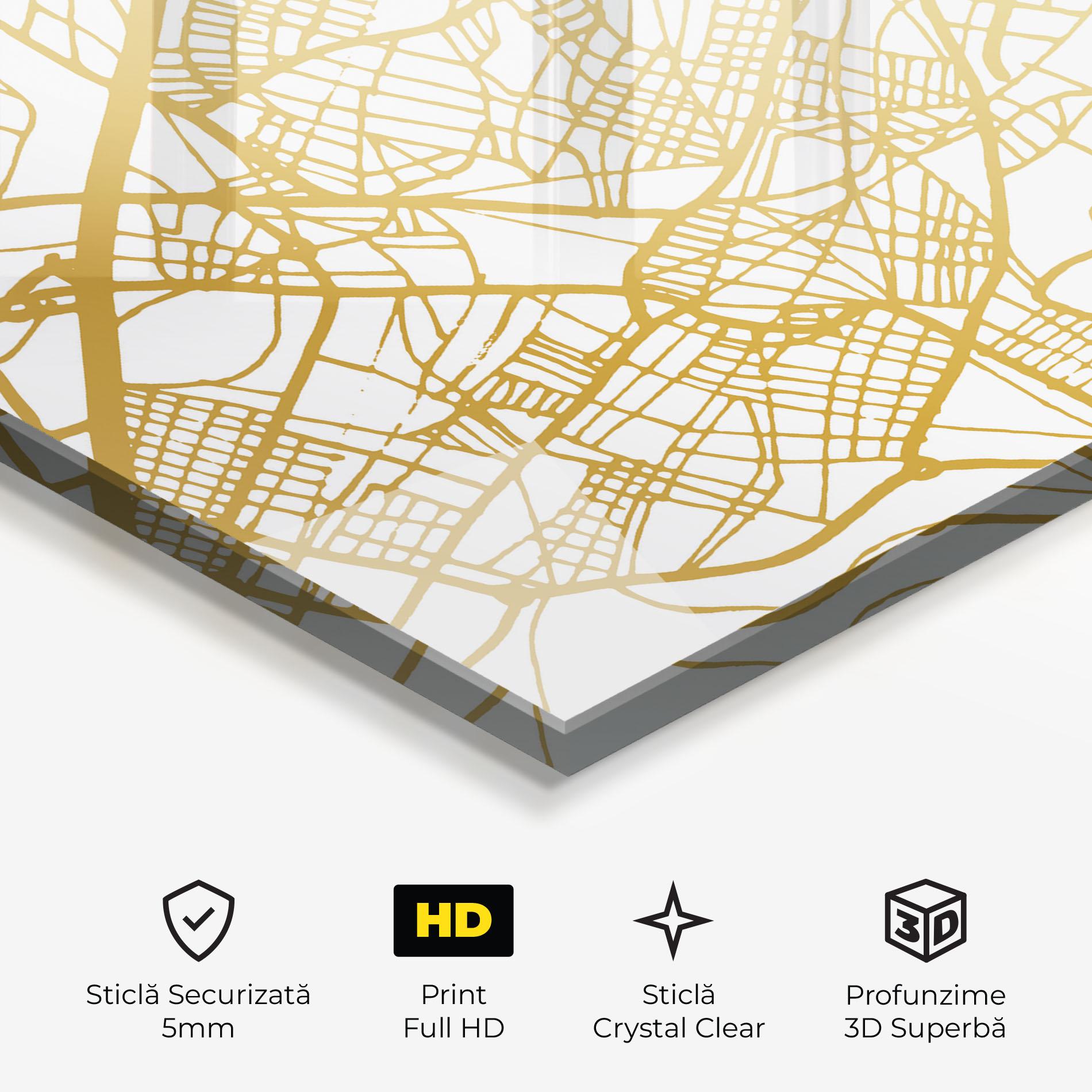Tablou Sticla Alcala De Henares Map mockup 3