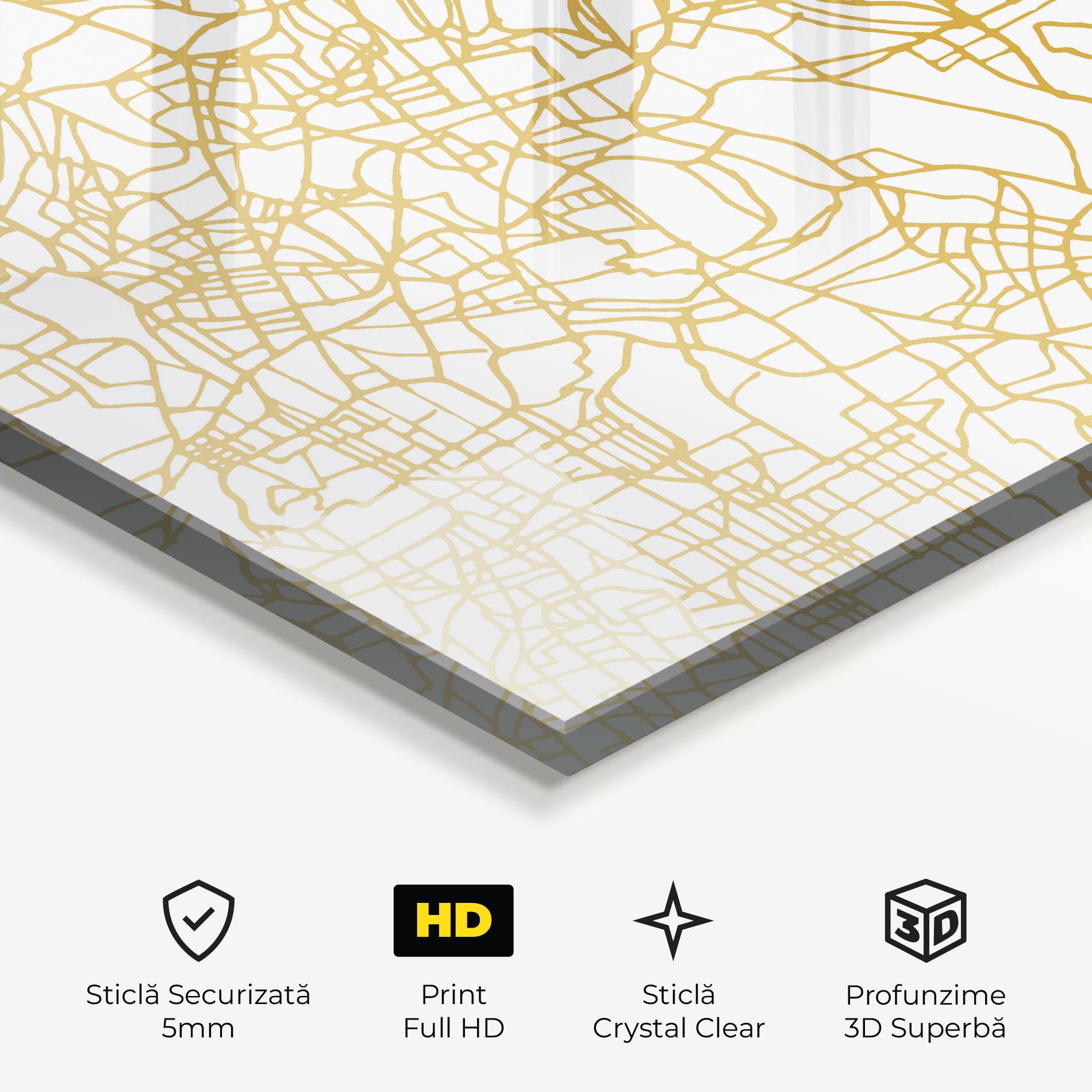 Tablou Sticla Bangalore Map mockup 3