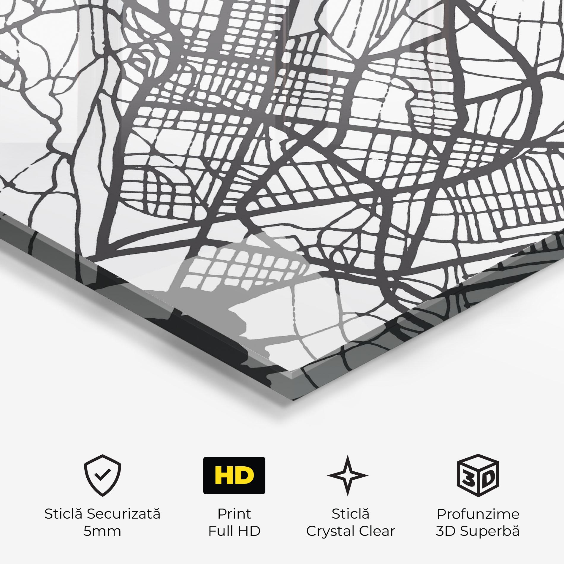 Tablou Sticla Biel Map mockup 3