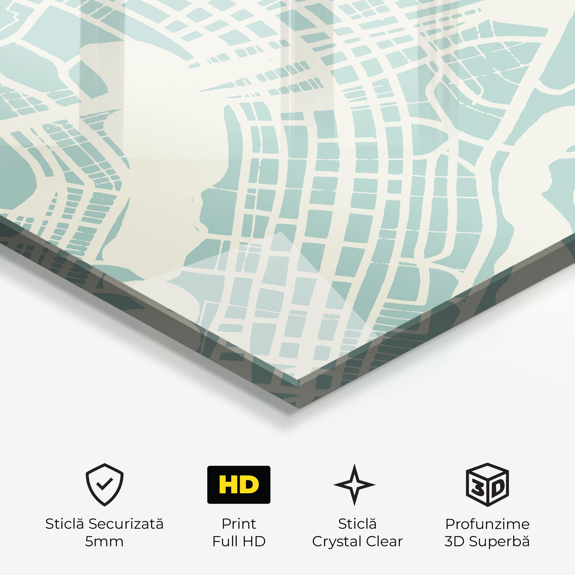 Tablou Sticla Brasilia Map mockup 3