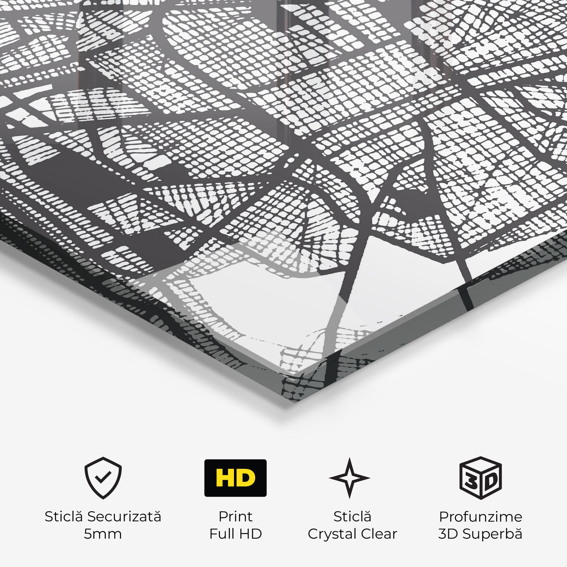 Tablou Sticla Merida Map mockup 3