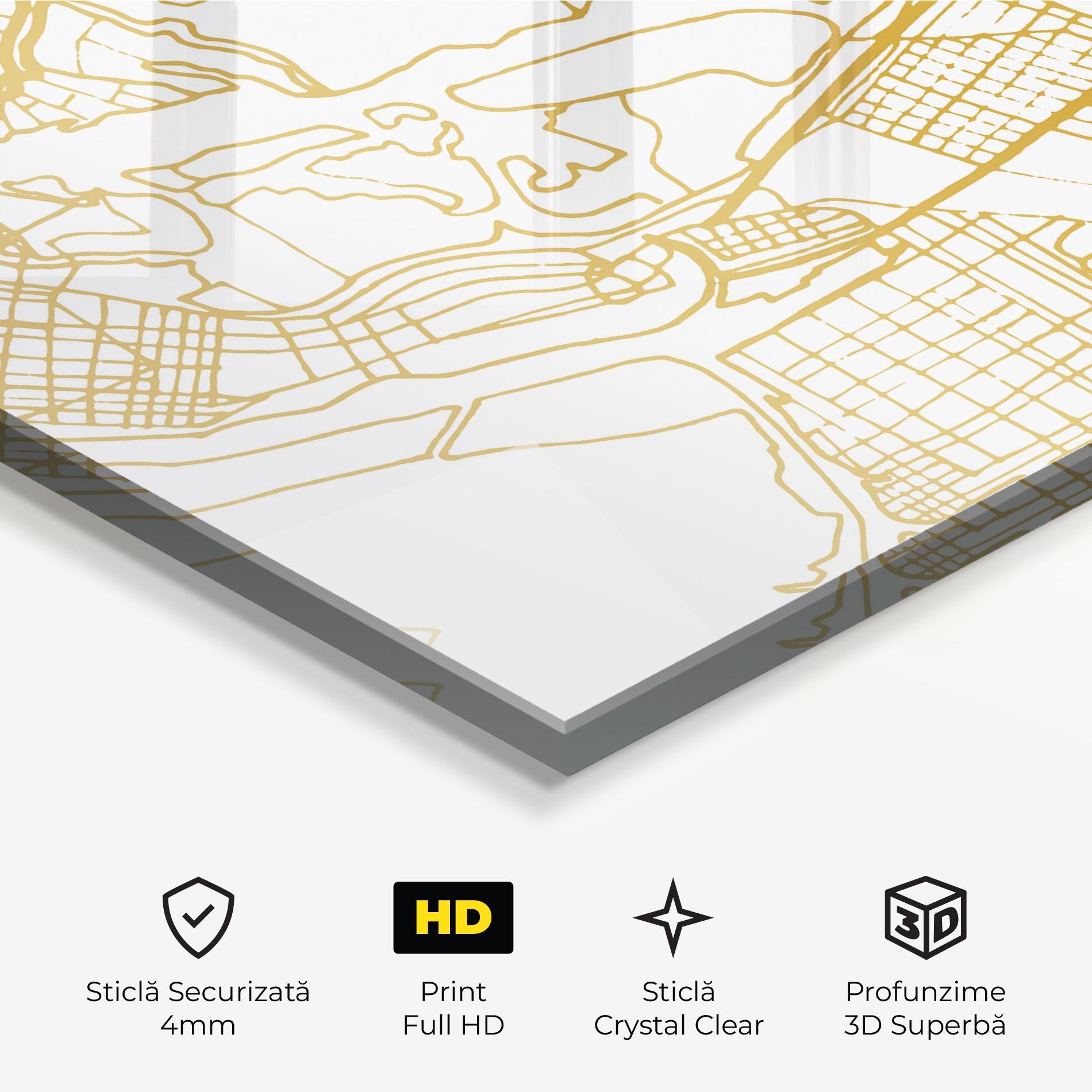Tablou Sticla Abu Dhabi Map mockup 3