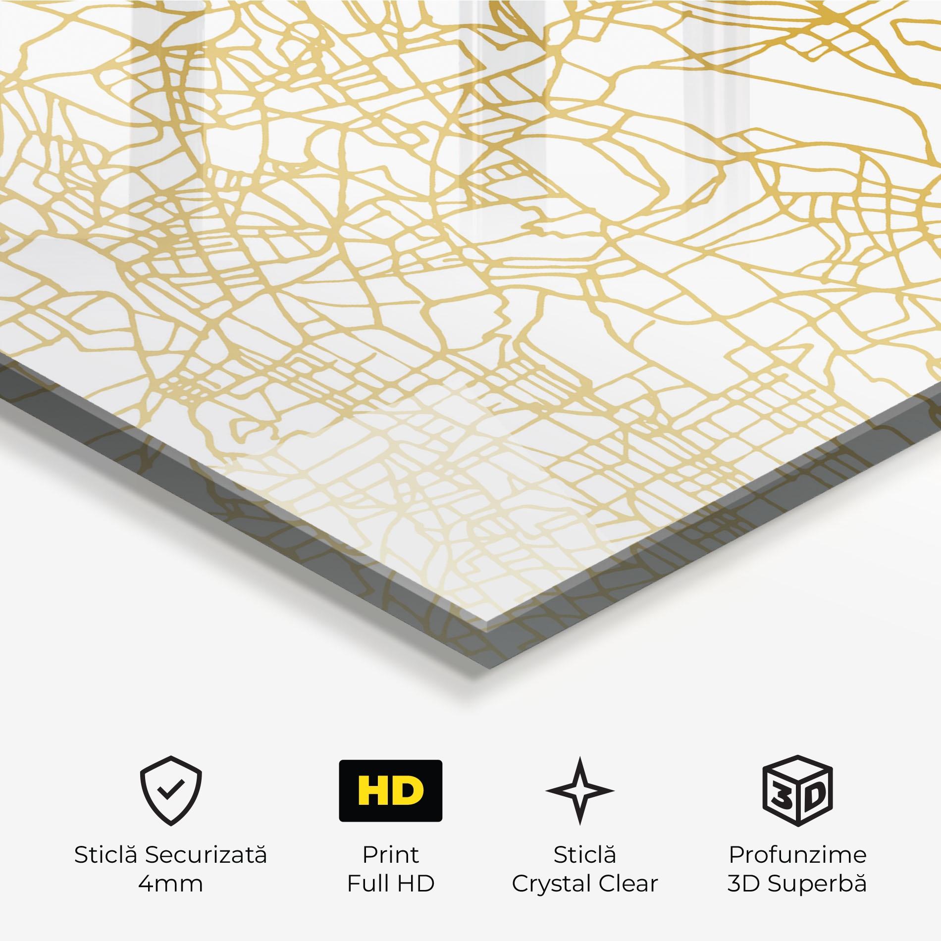 Tablou Sticla Bangalore Map mockup 3