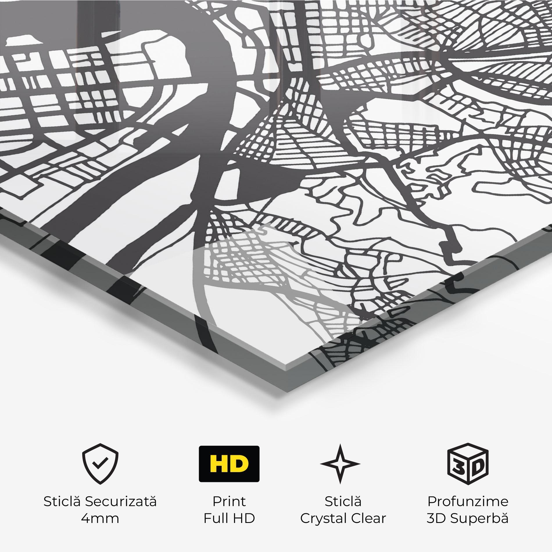 Tablou Sticla Belgrade Map mockup 3