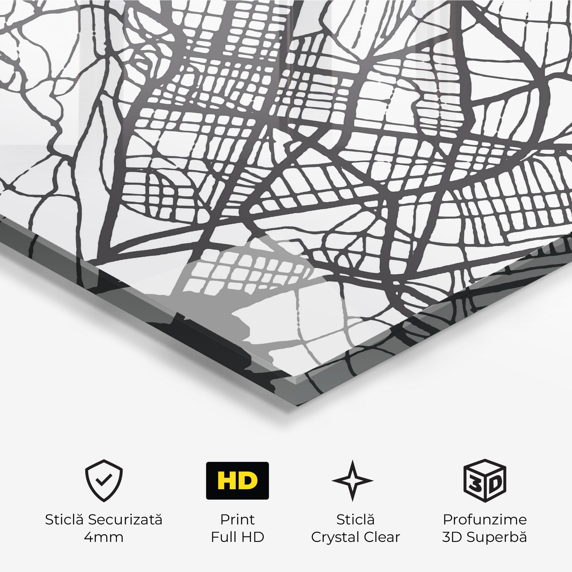 Tablou Sticla Biel Map mockup 3