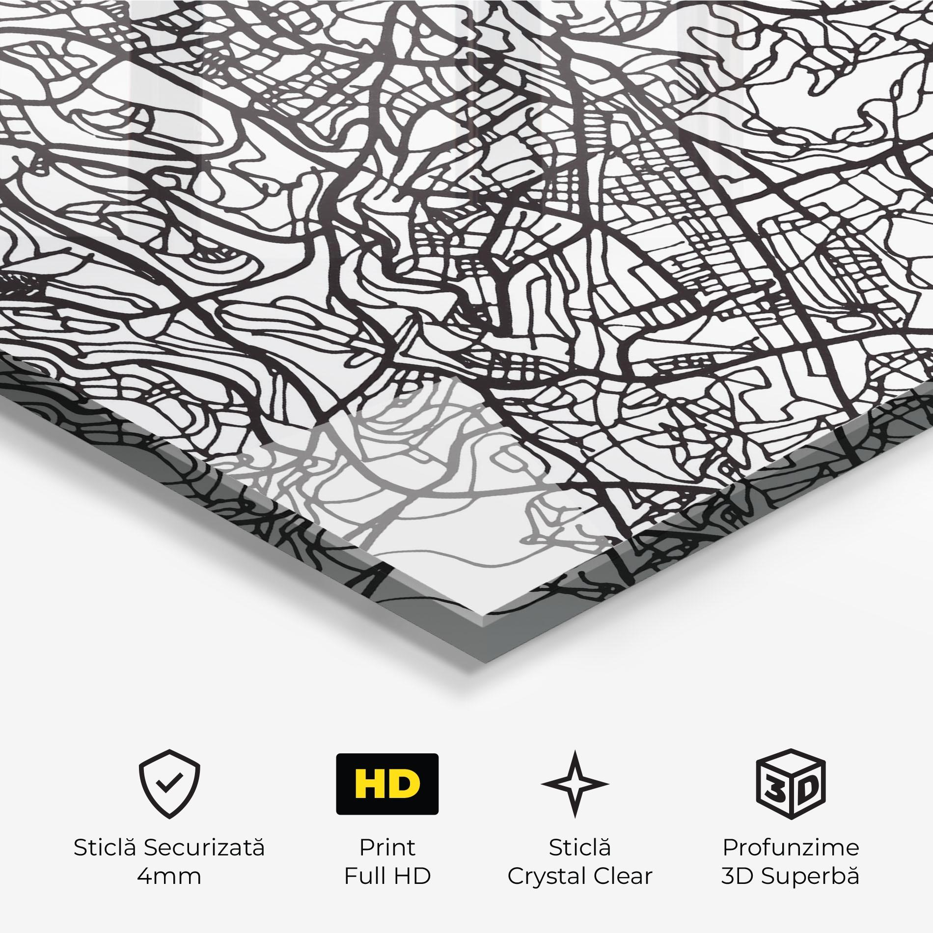 Tablou Sticla Jerusalem Map mockup 3