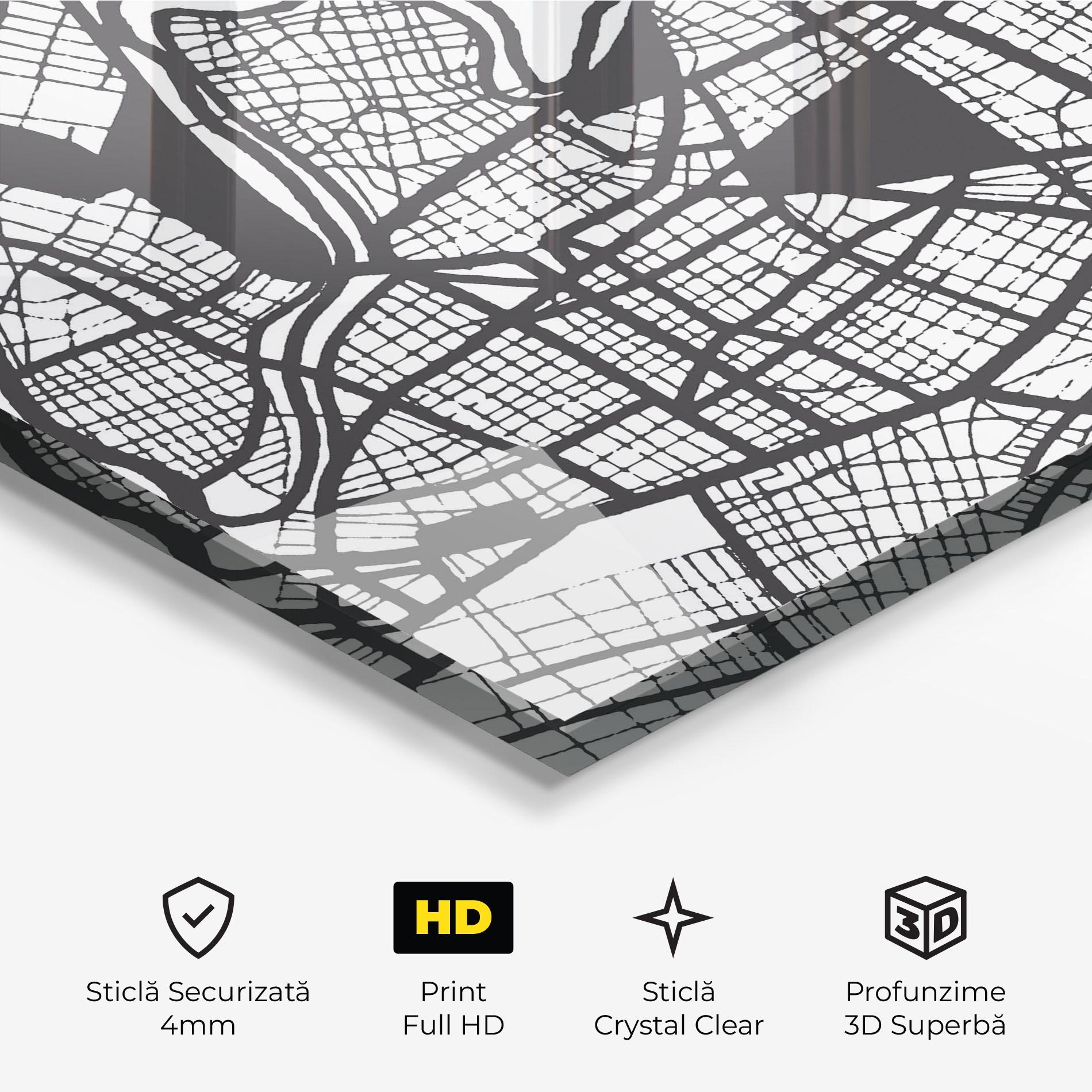 Tablou Sticla Larissa Map mockup 3