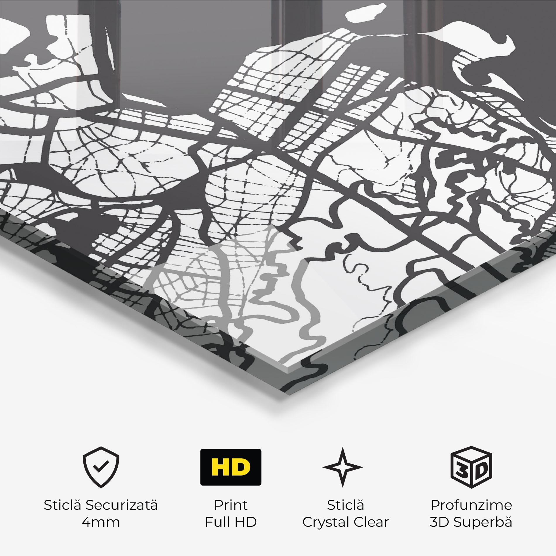 Tablou Sticla Rio De Janeiro Map mockup 3