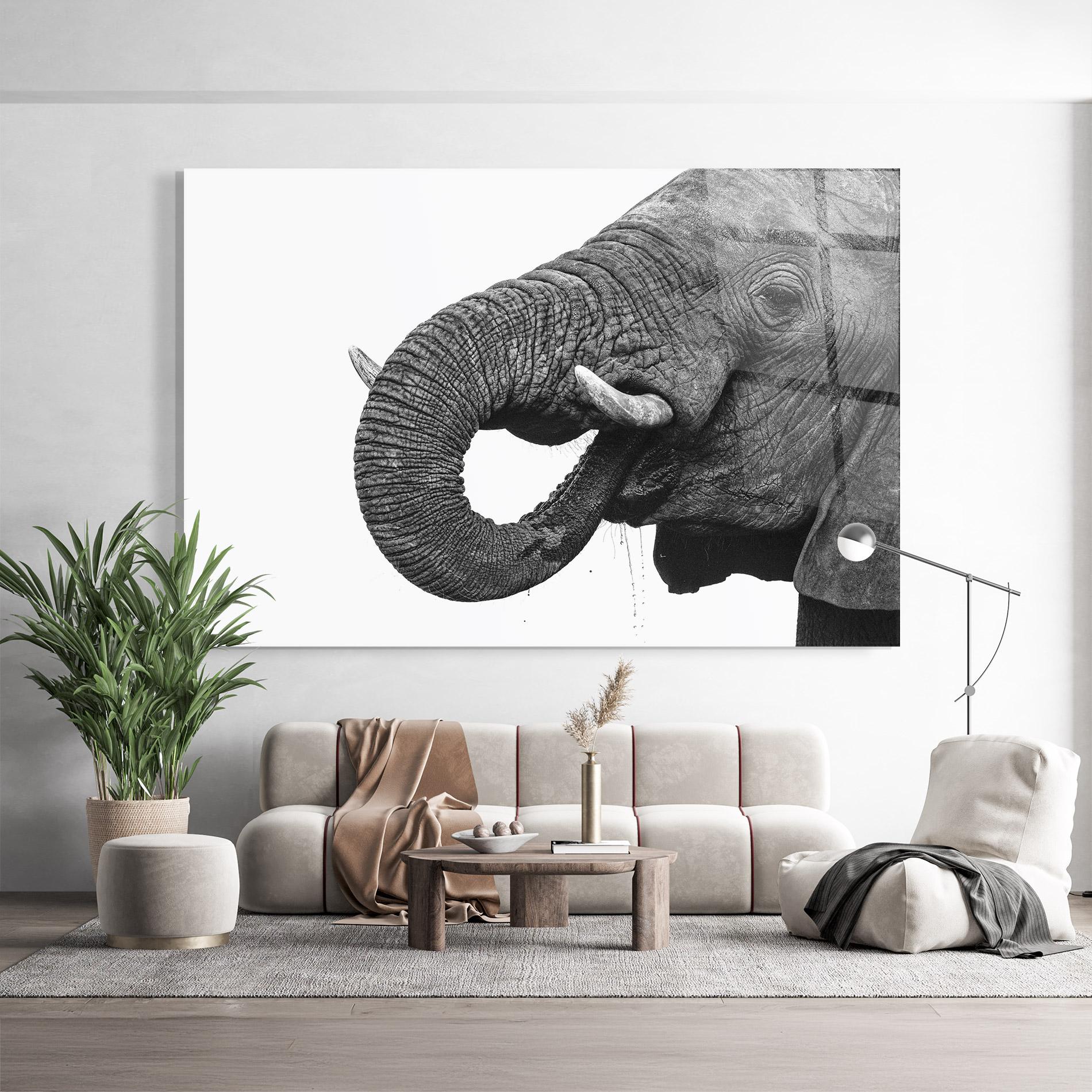 Tablou Sticla Elephant Drinking mockup 9