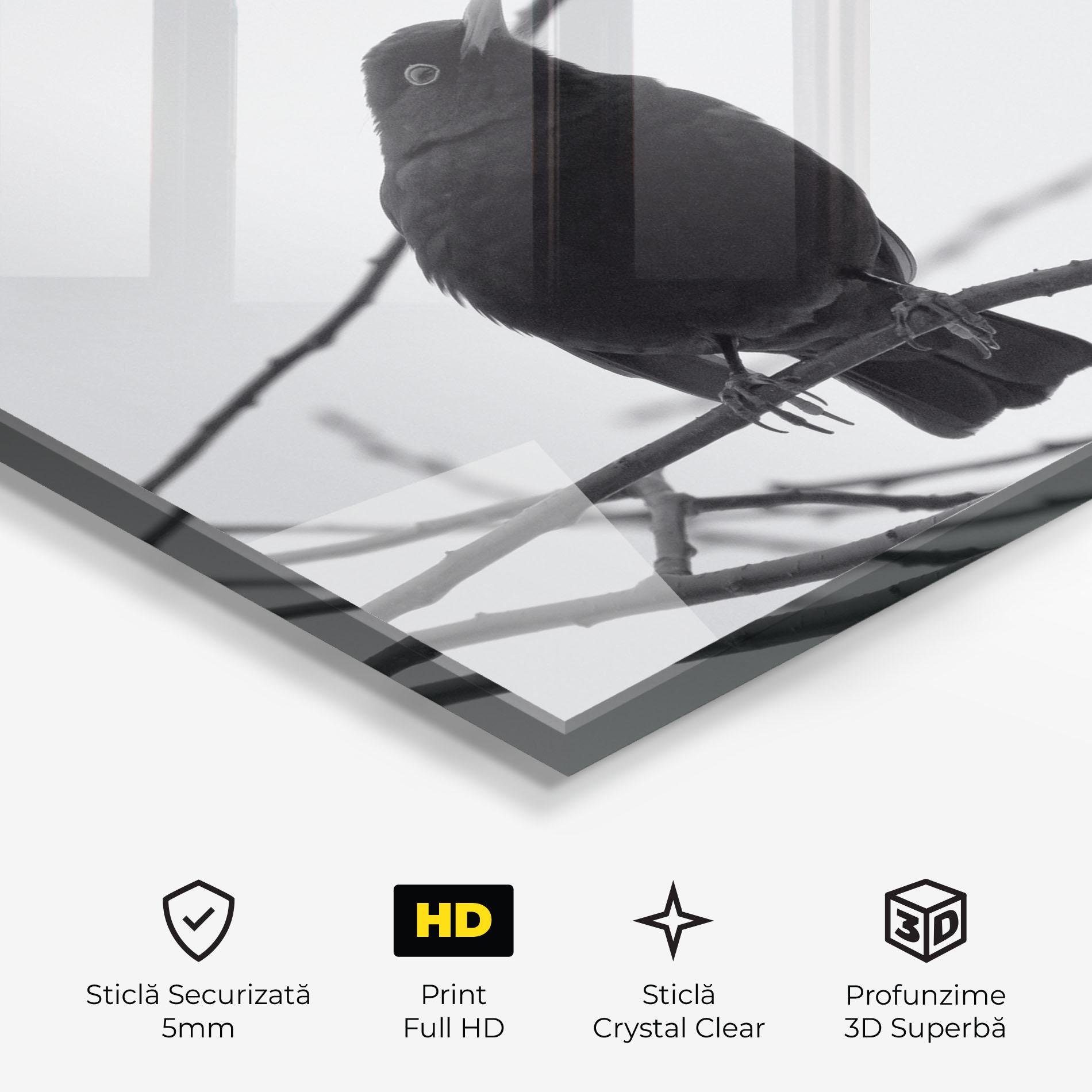 Tablou Sticla Black Bird mockup 3