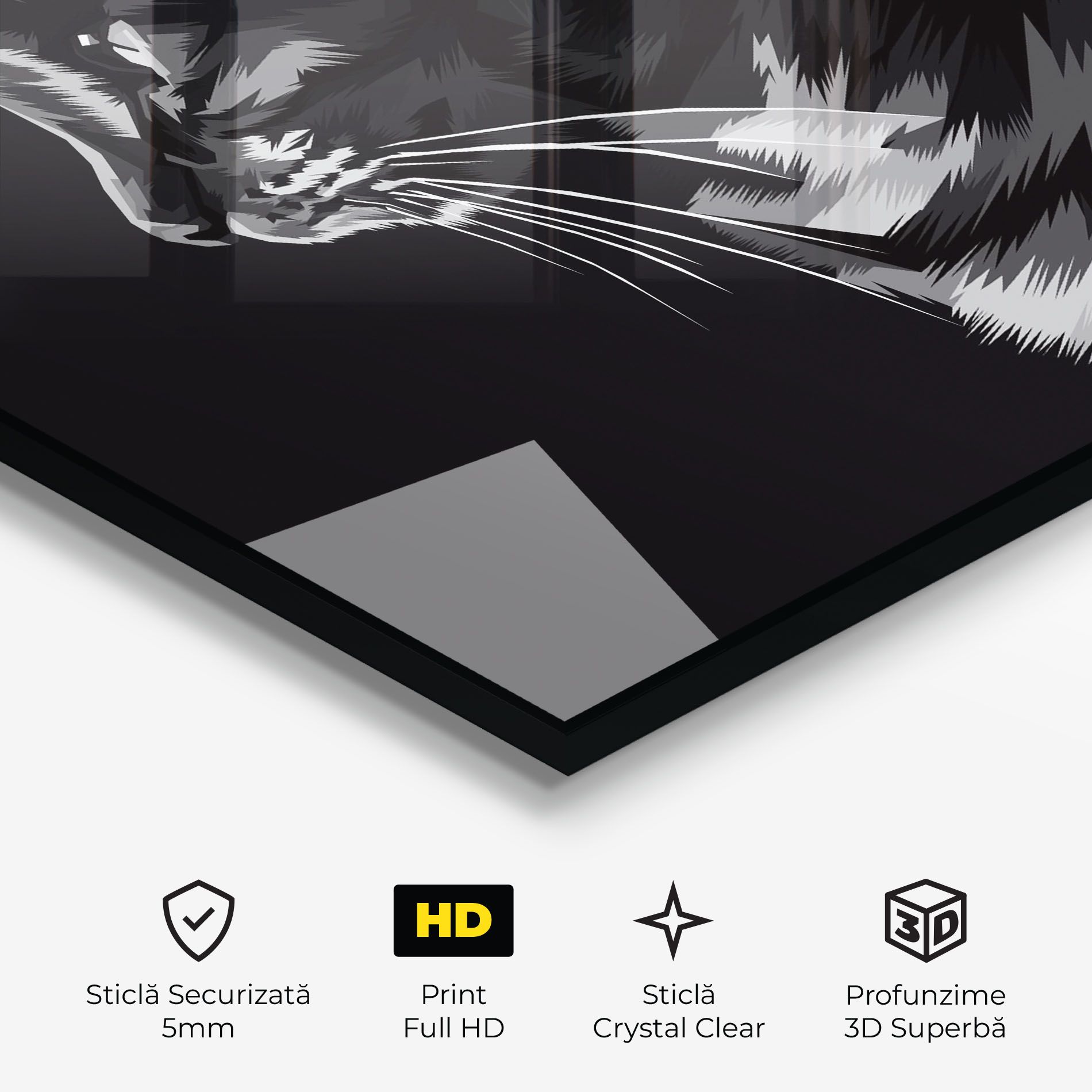 Black Grey Cat mockup 3