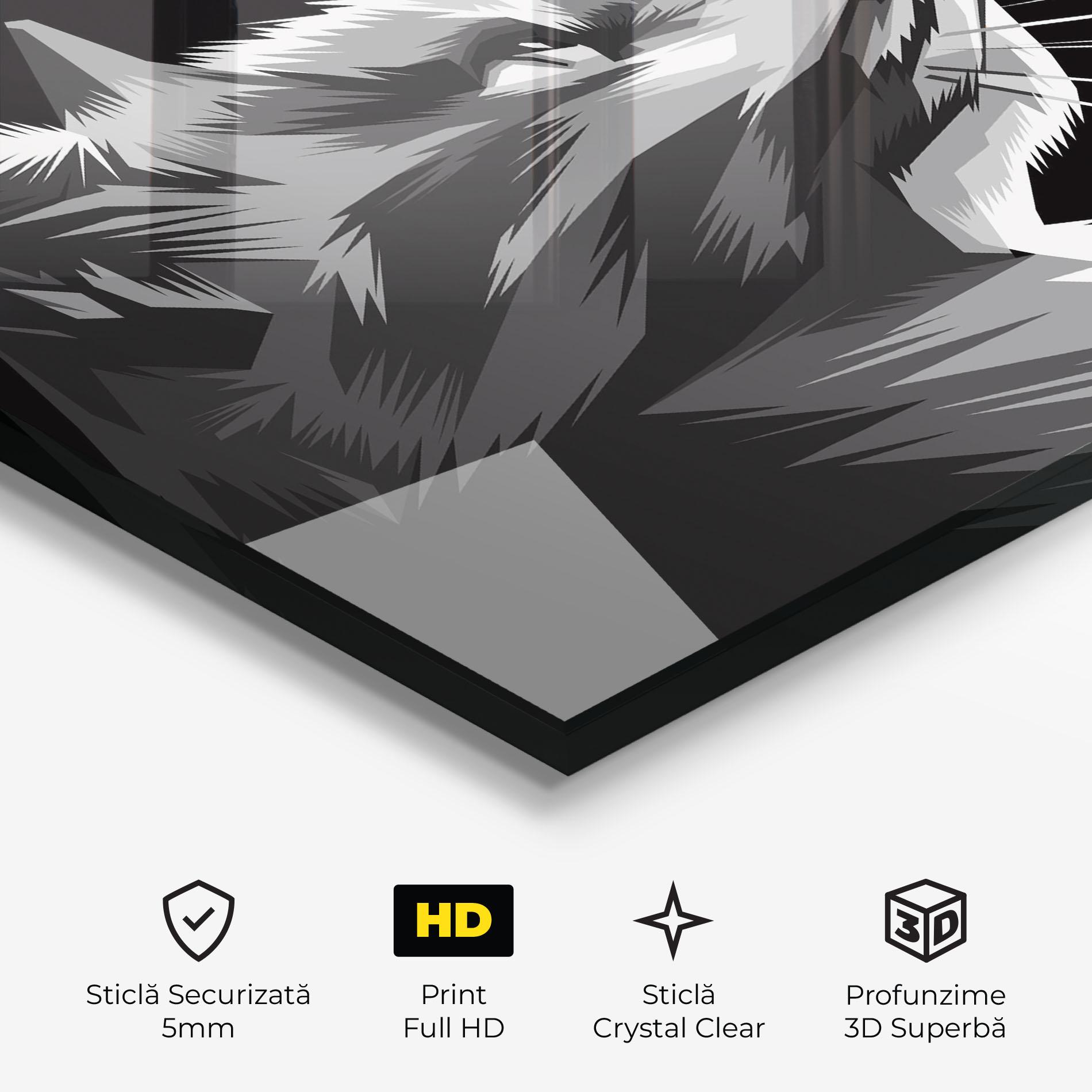 Tablou Sticla Grey Cat On Black mockup 3
