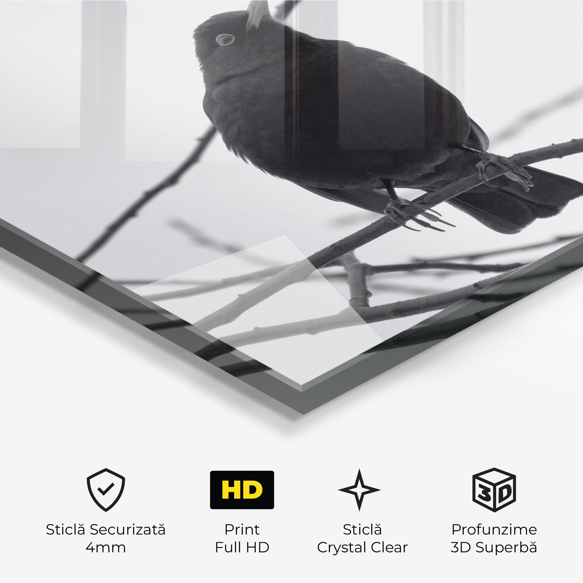 Tablou Sticla Black Bird mockup 3