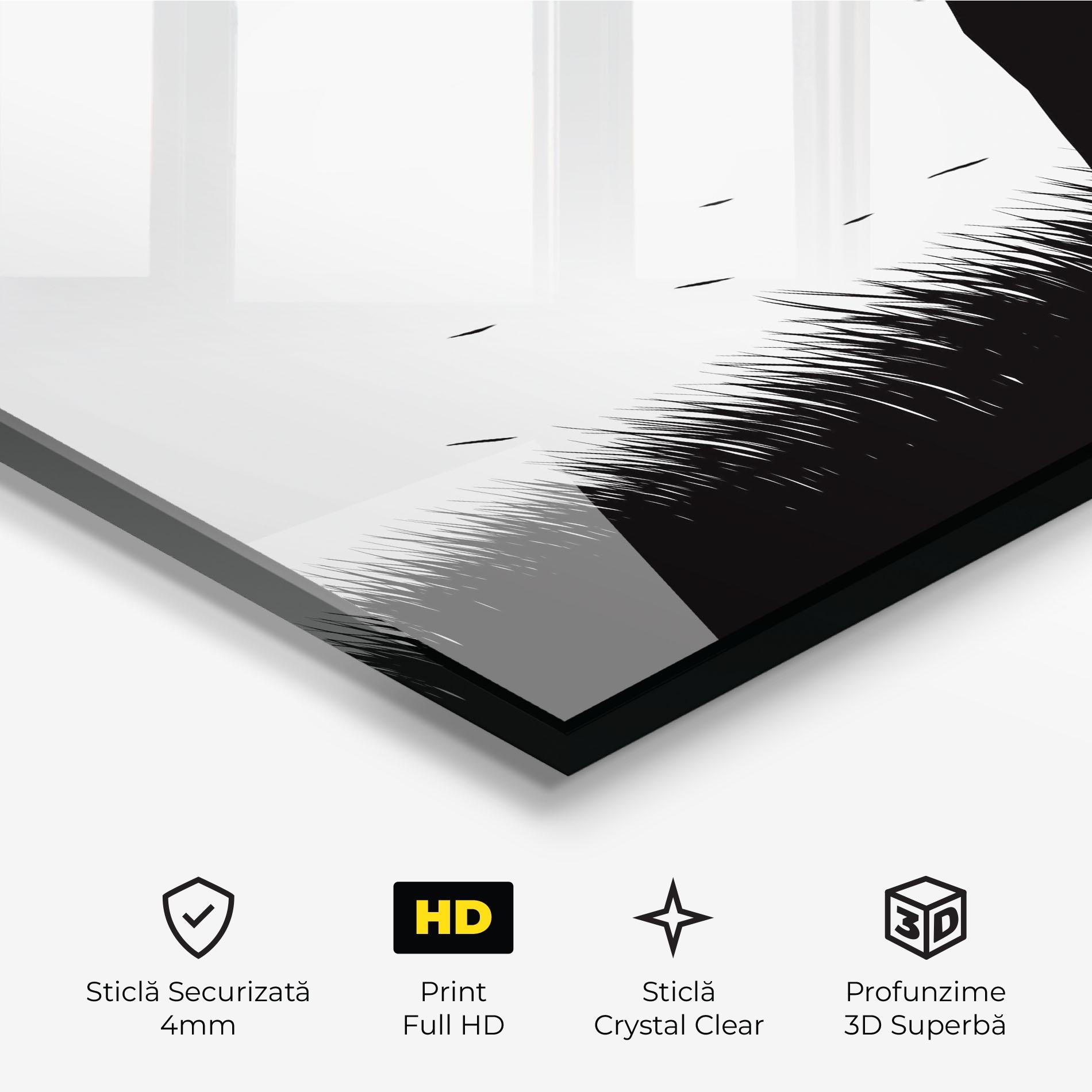 Tablou Sticla Black Umbrella mockup 3
