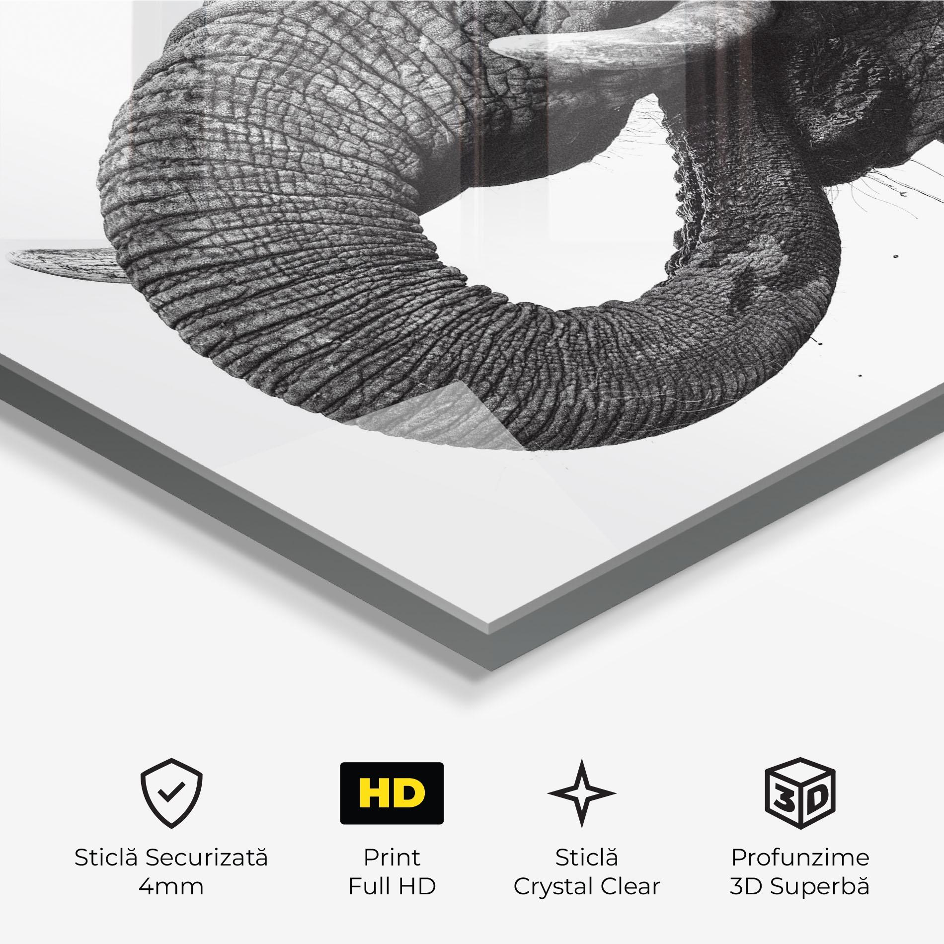 Tablou Sticla Elephant Drinking mockup 3