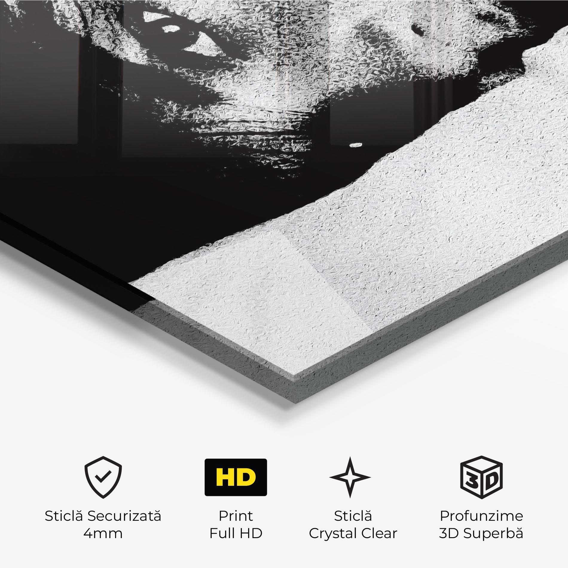 Tablou Sticla Eye Contact mockup 3