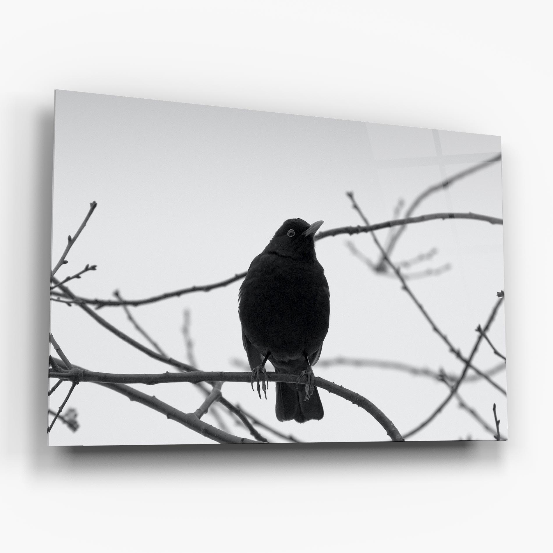 Tablou Sticla Black Bird mockup 6