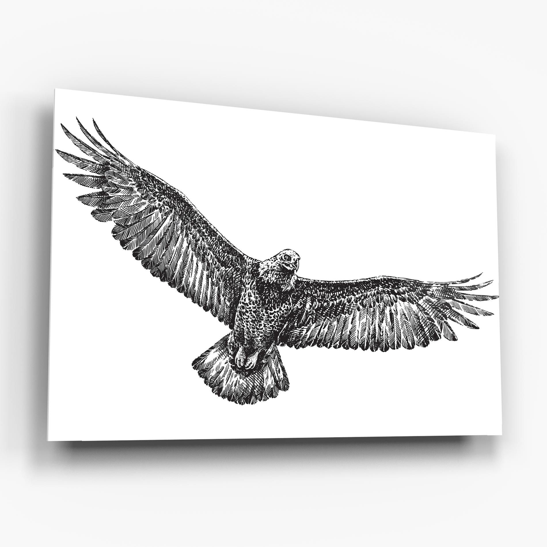 Eagle Art Line mockup 6