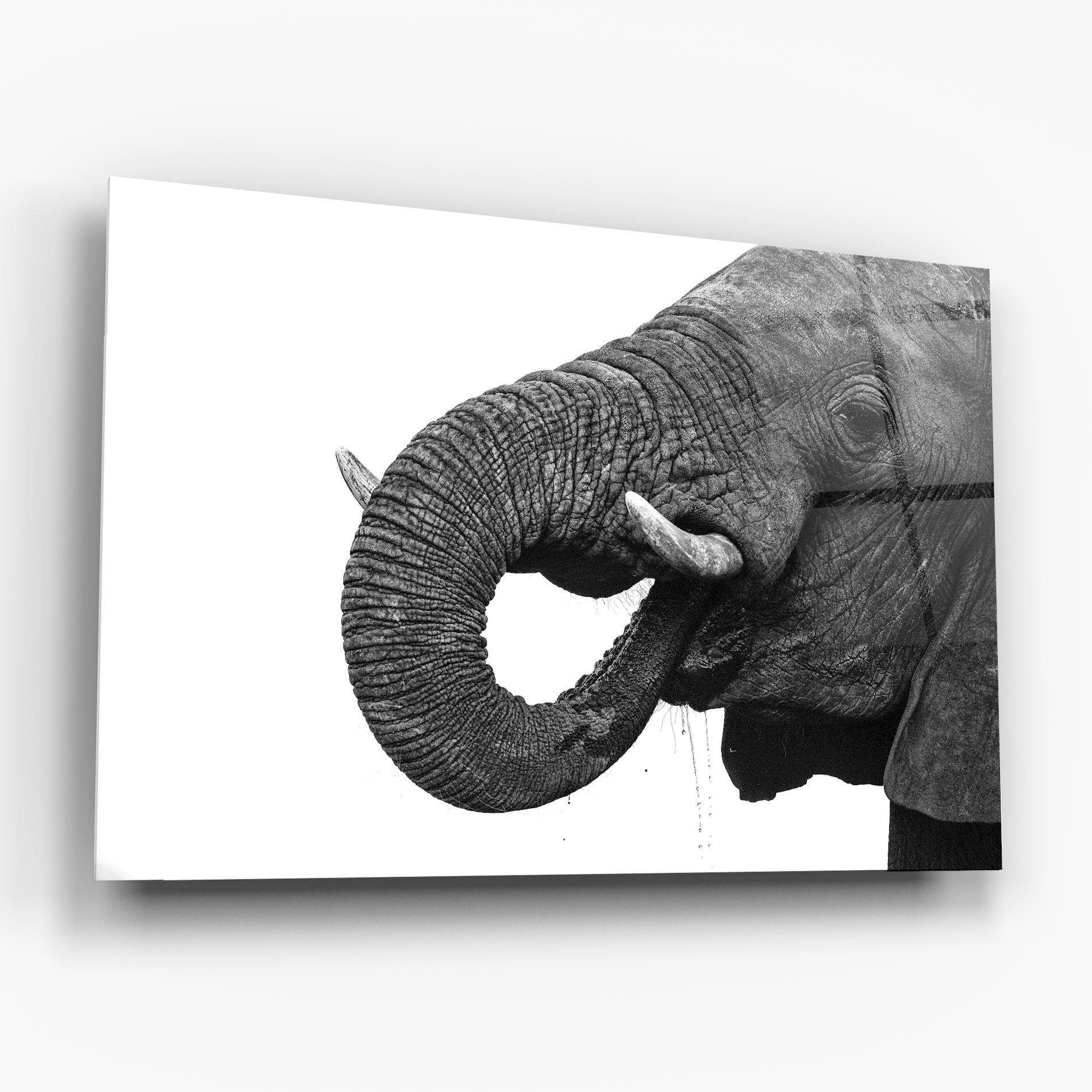 Tablou Sticla Elephant Drinking mockup 6