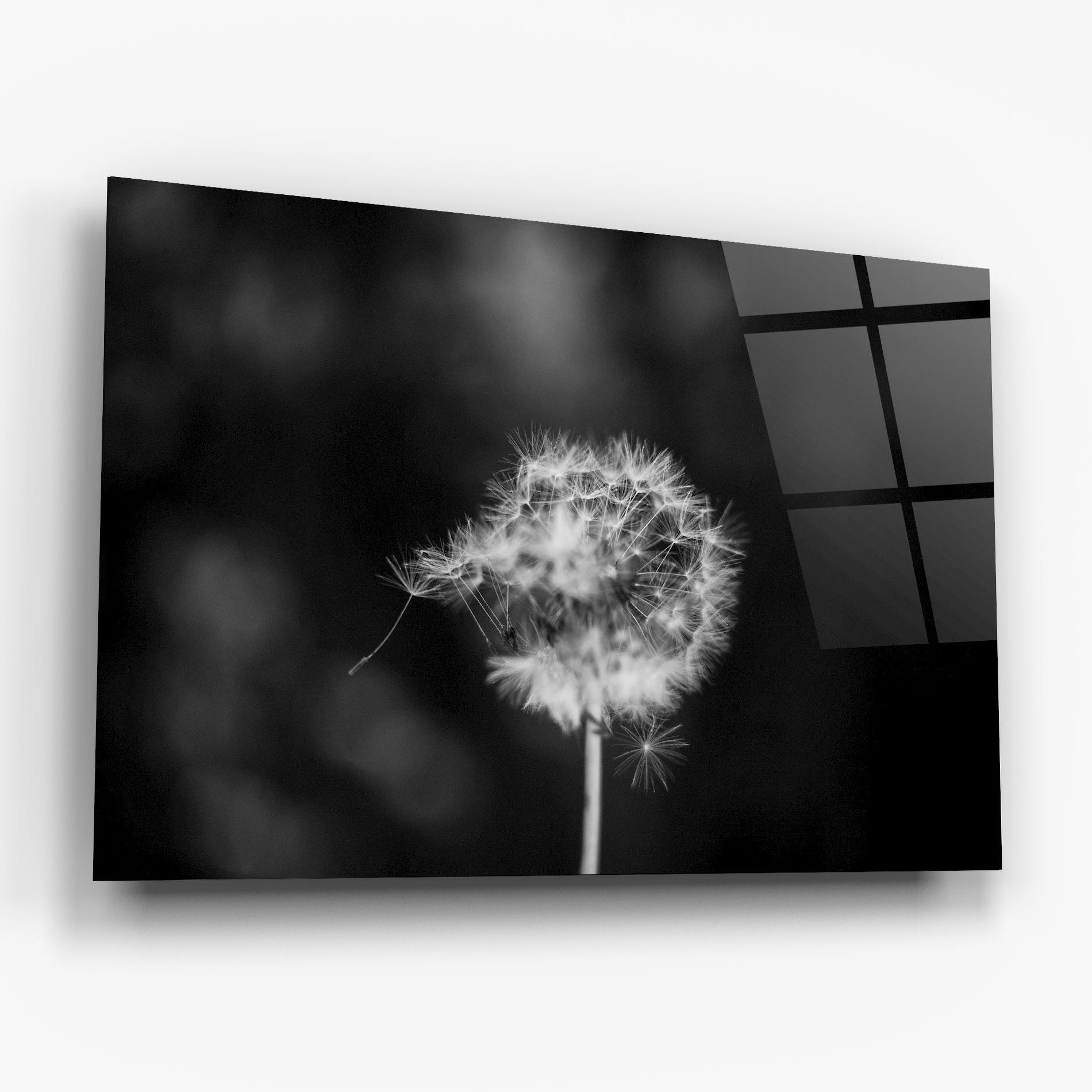 Tablou Sticla Grey Dandelion mockup 6