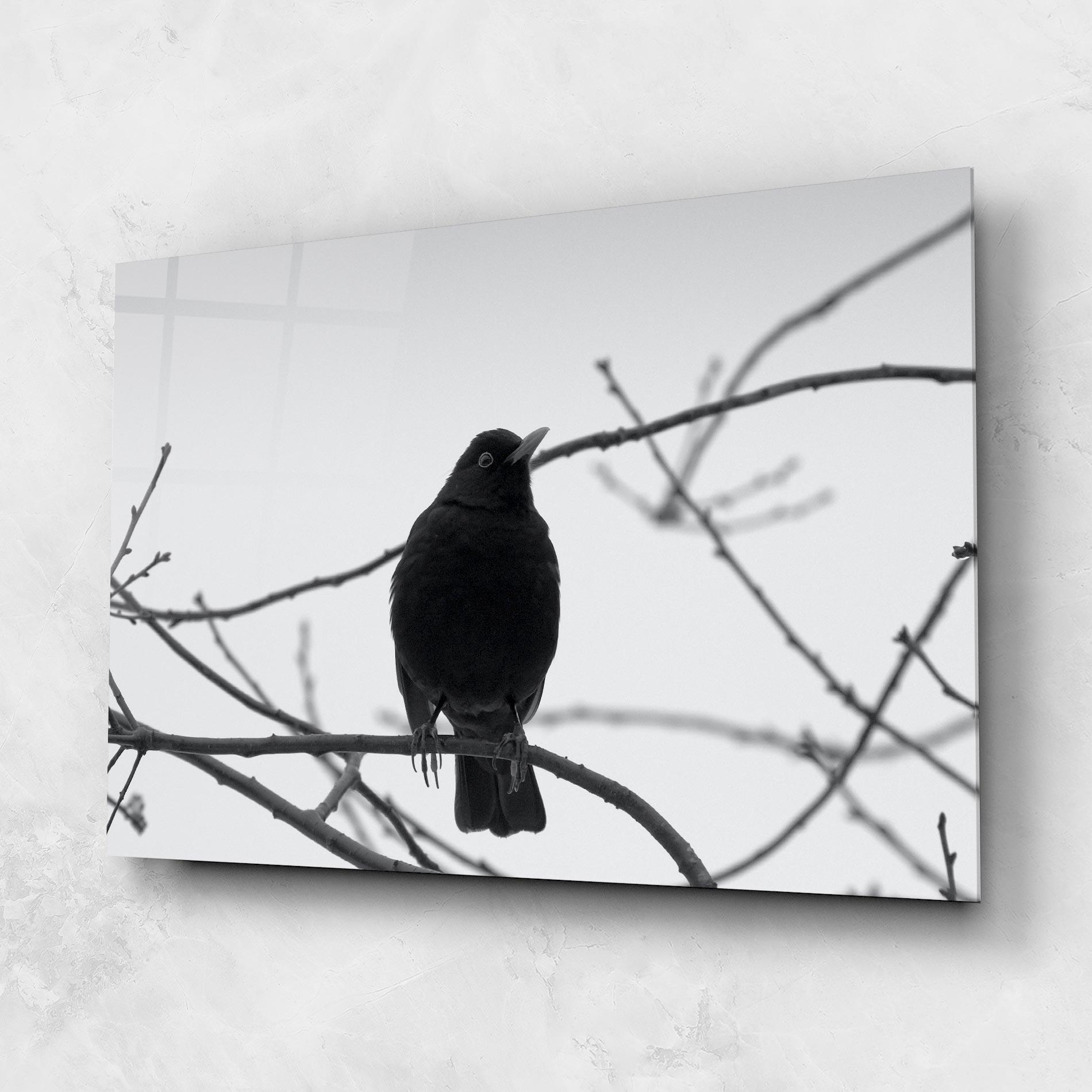 Tablou Sticla Black Bird mockup 1