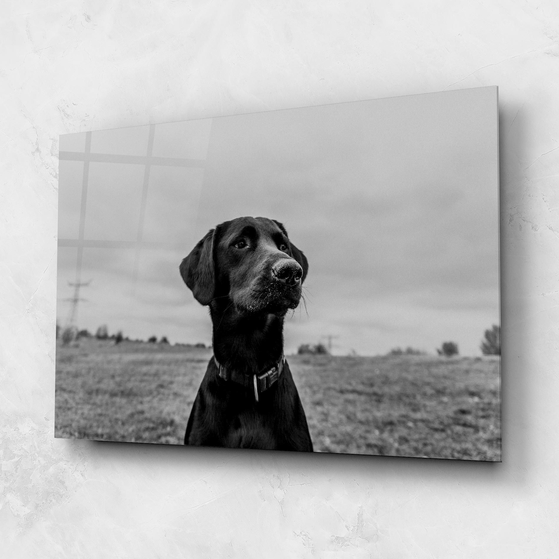 Black Dog mockup 1