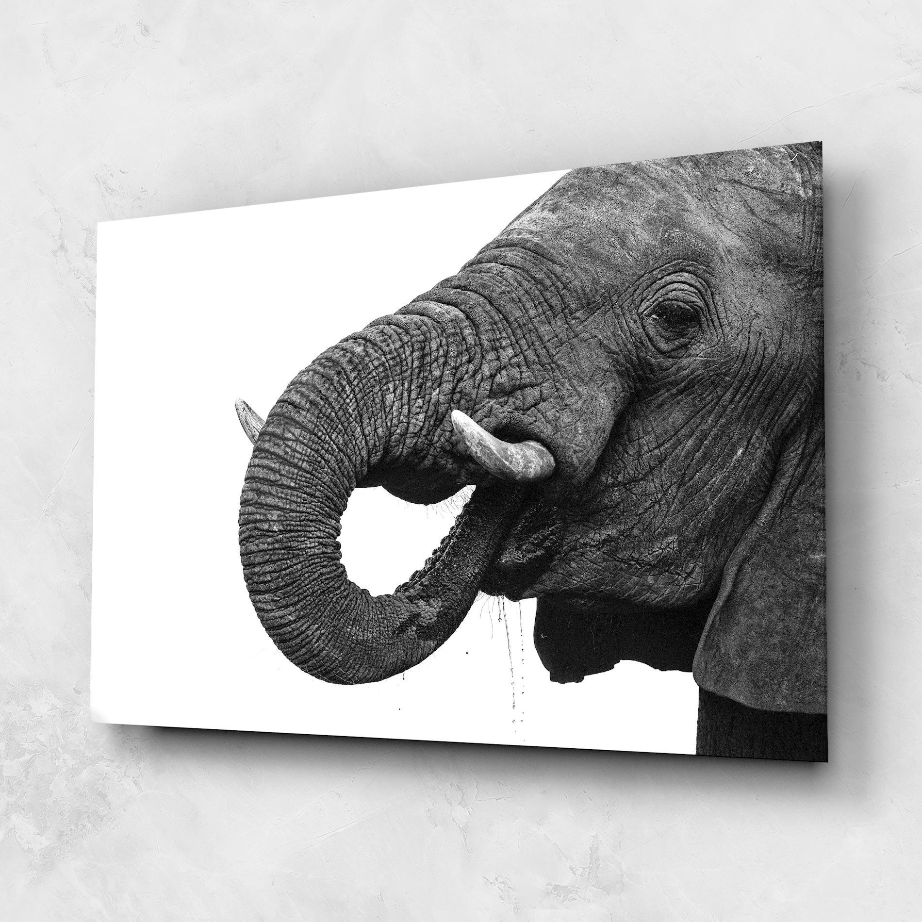 Tablou Sticla Elephant Drinking mockup 1