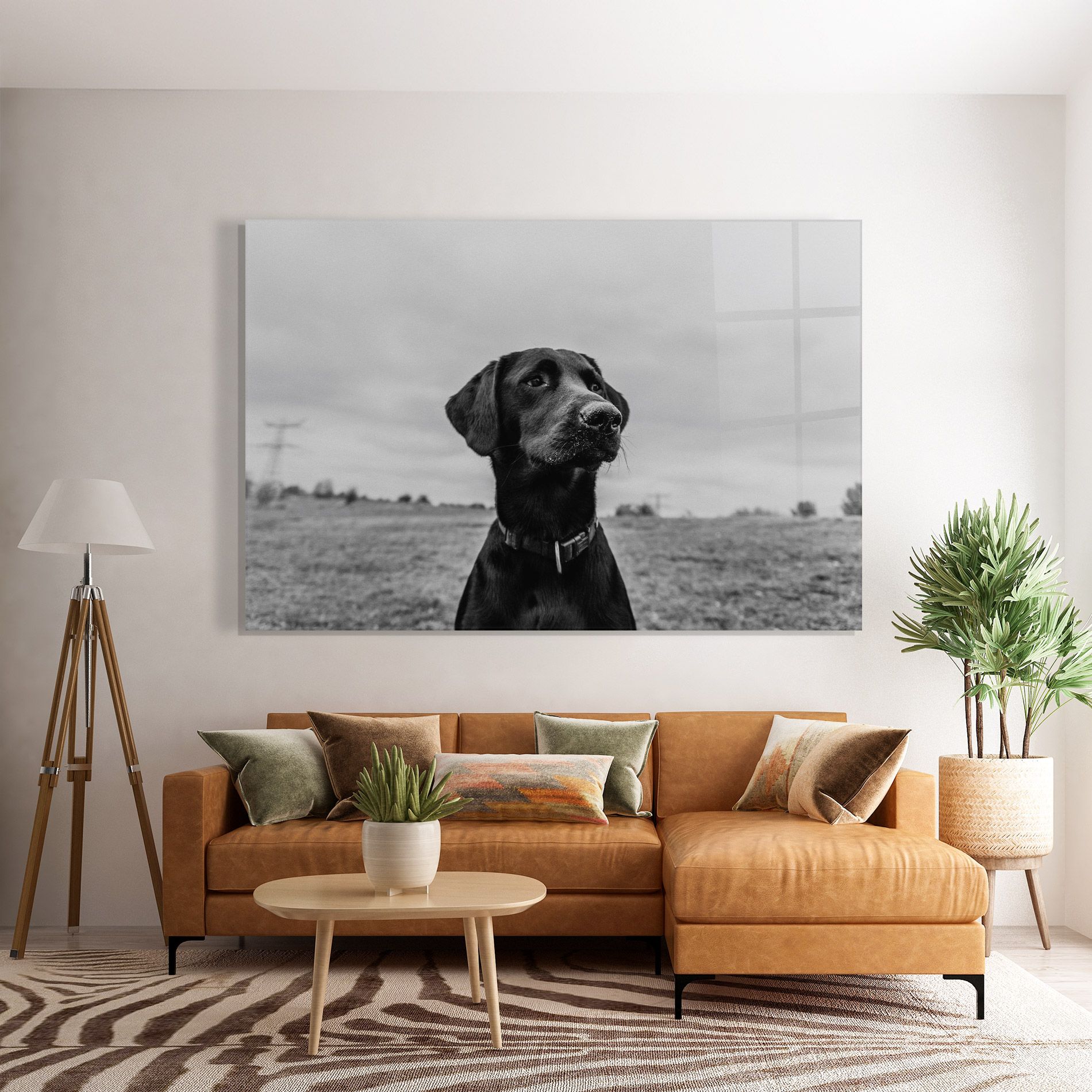 Black Dog mockup 7