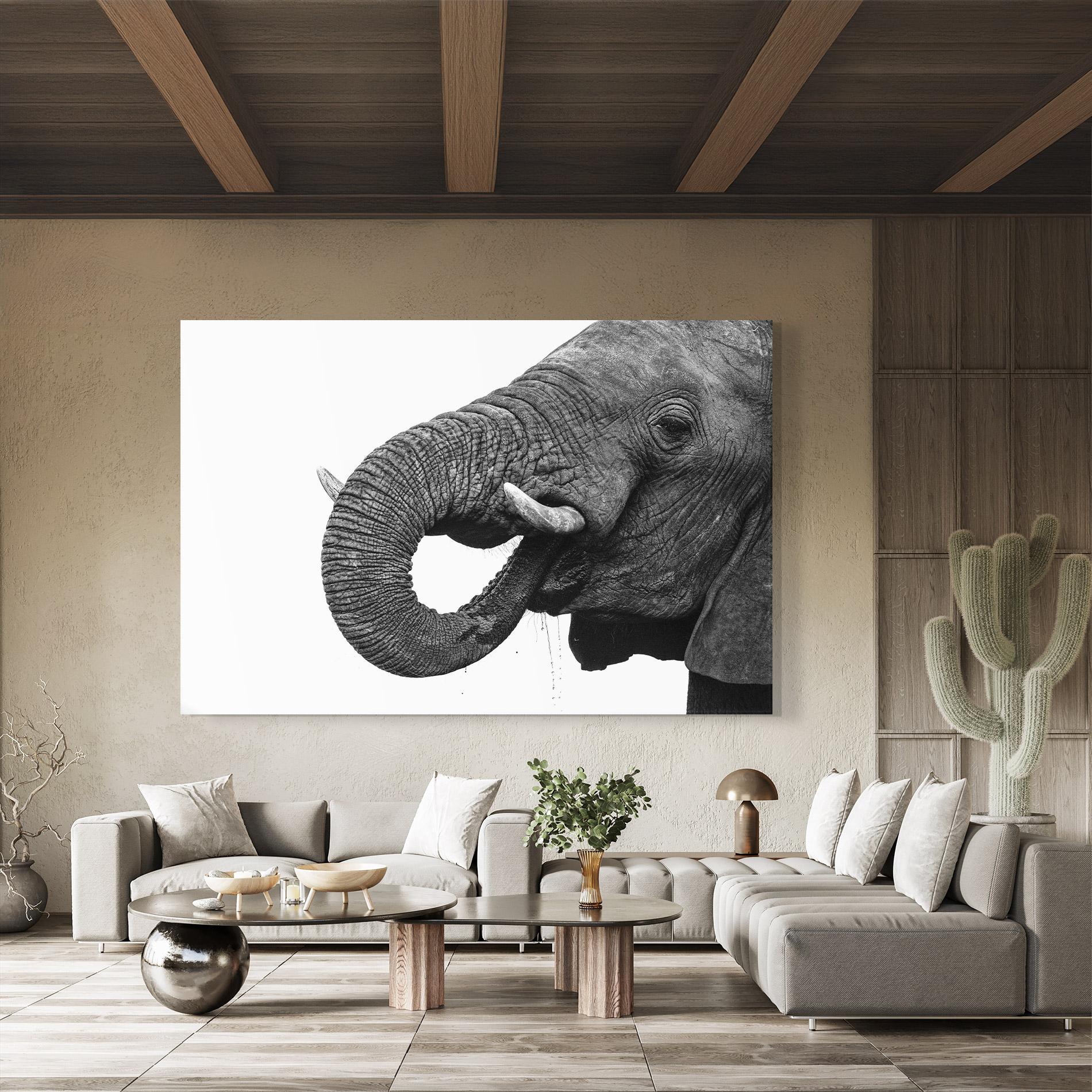Tablou Sticla Elephant Drinking mockup 8