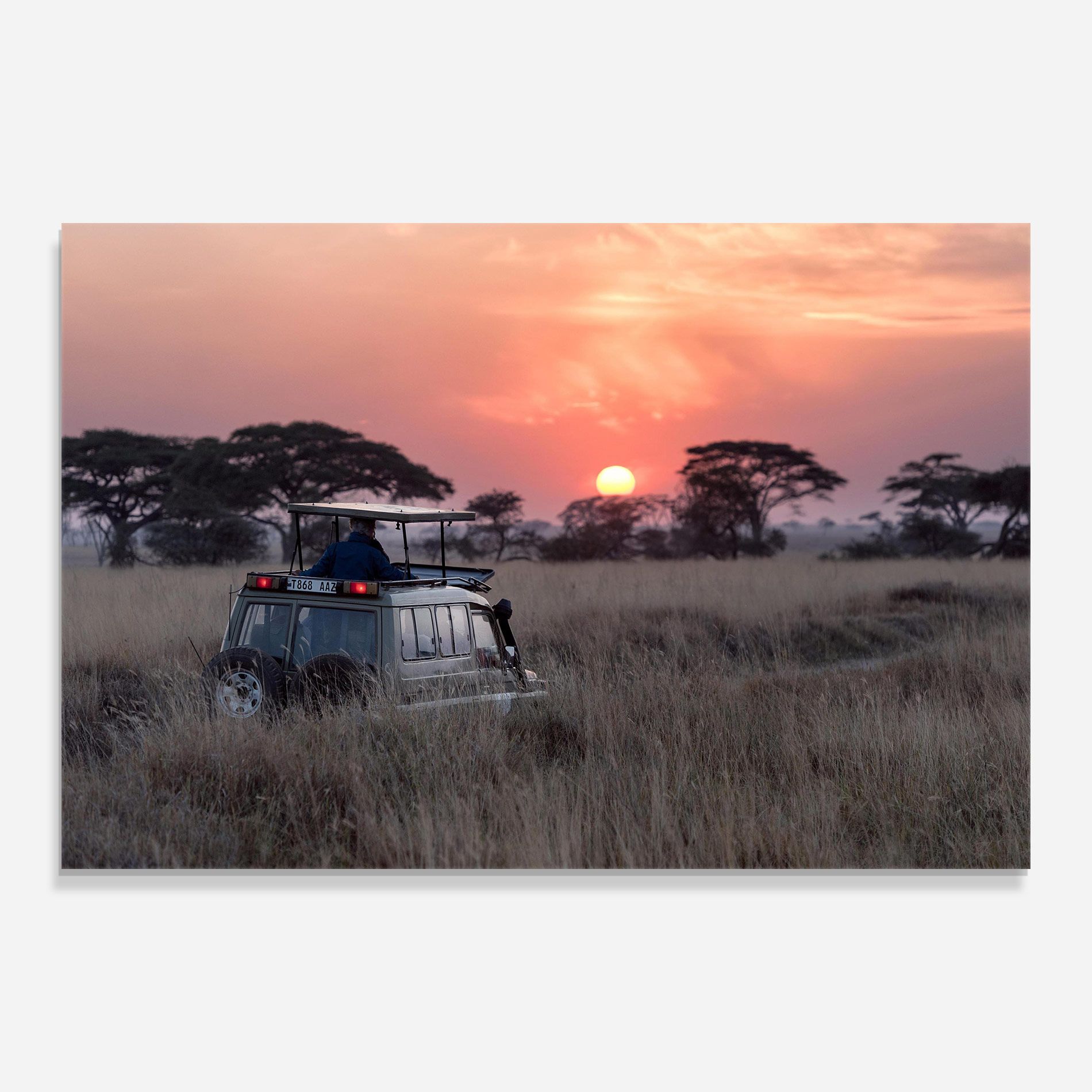 Sunset Wild Car mockup 0