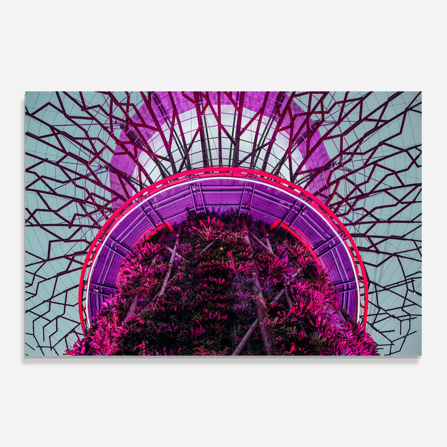 Tablou Sticla Supertree Grove mockup 0