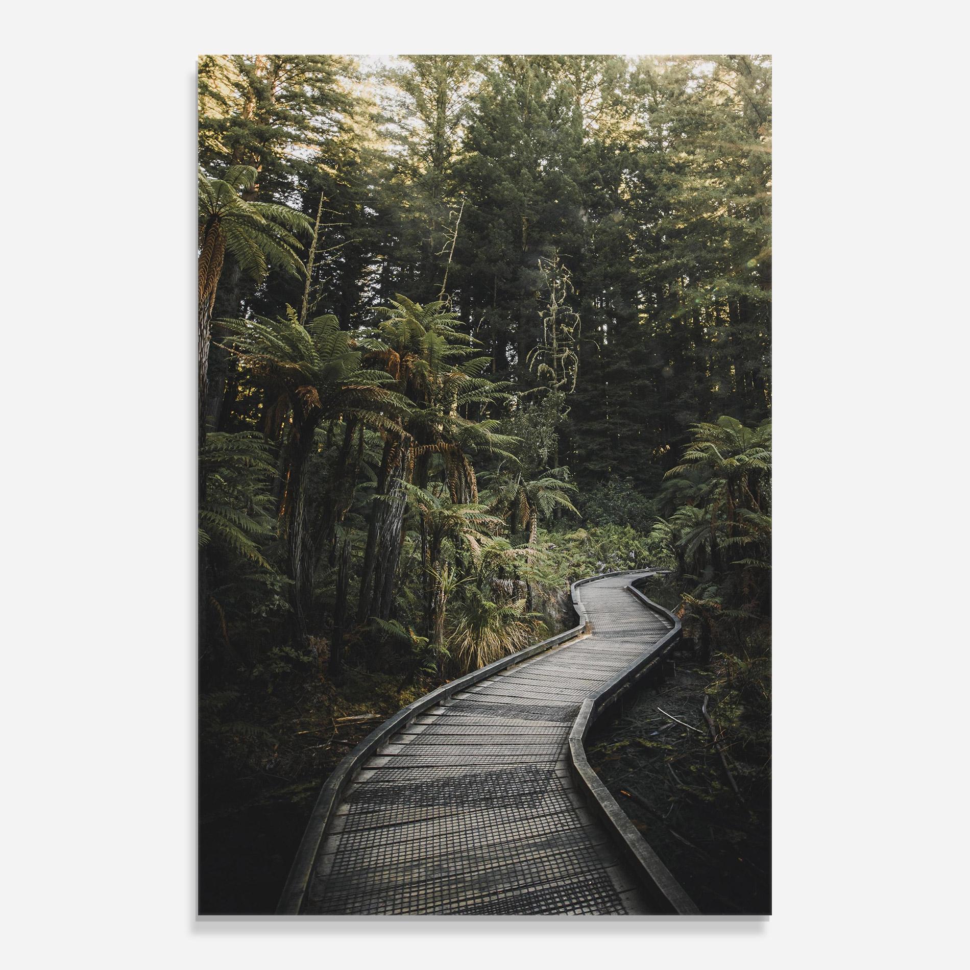 Tablou Sticla Forest Path View mockup 0