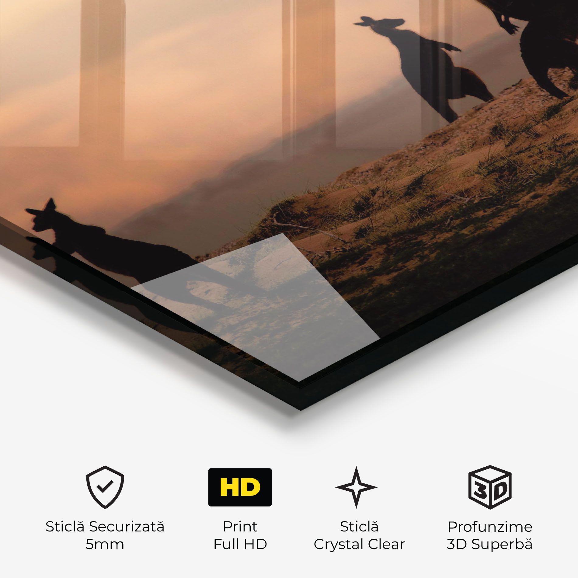 Kangaroos Playing mockup 3