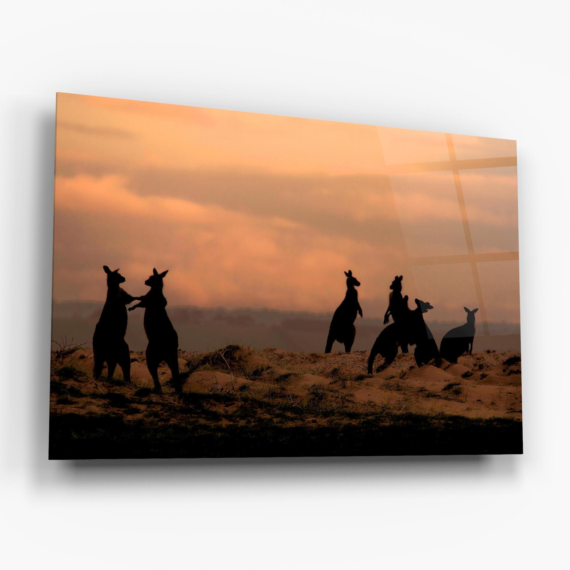 Tablou Sticla Kangaroos Playing mockup 6