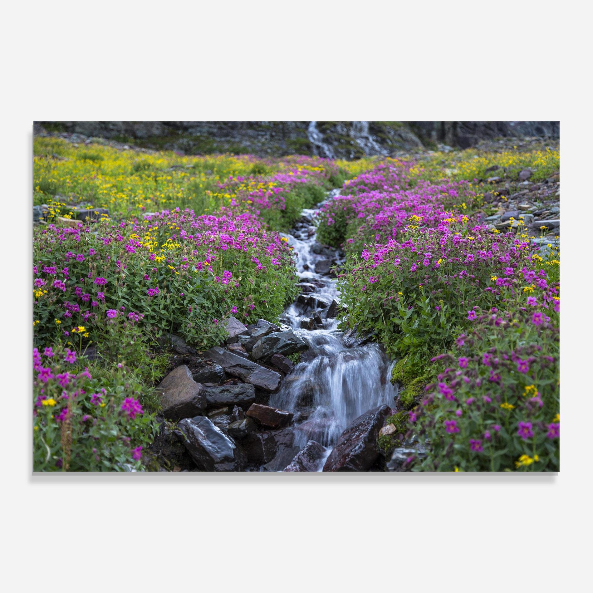 Tablou Sticla Purple Field Waterfall mockup 0