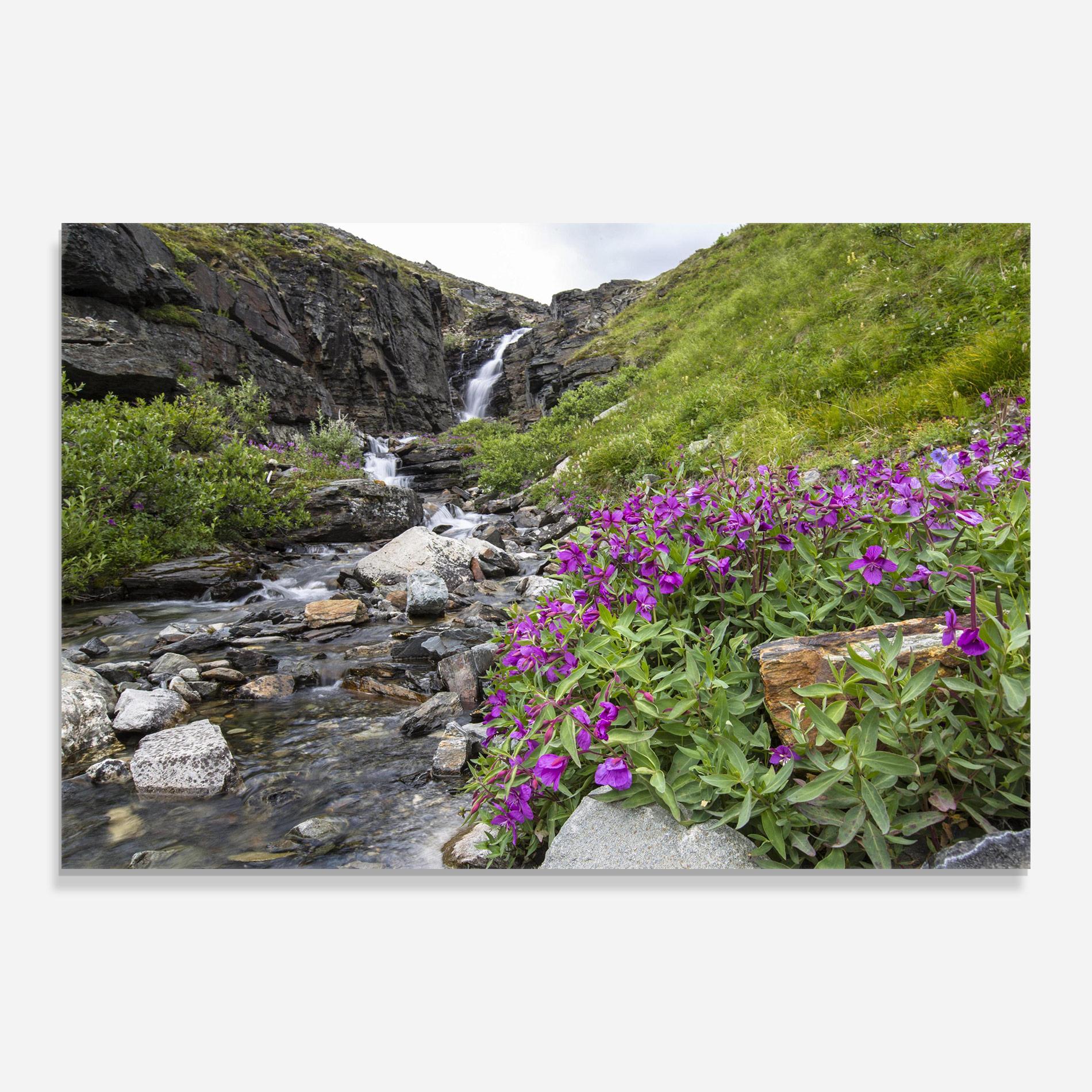 Tablou Sticla Purple Flowers Waterfall mockup 0