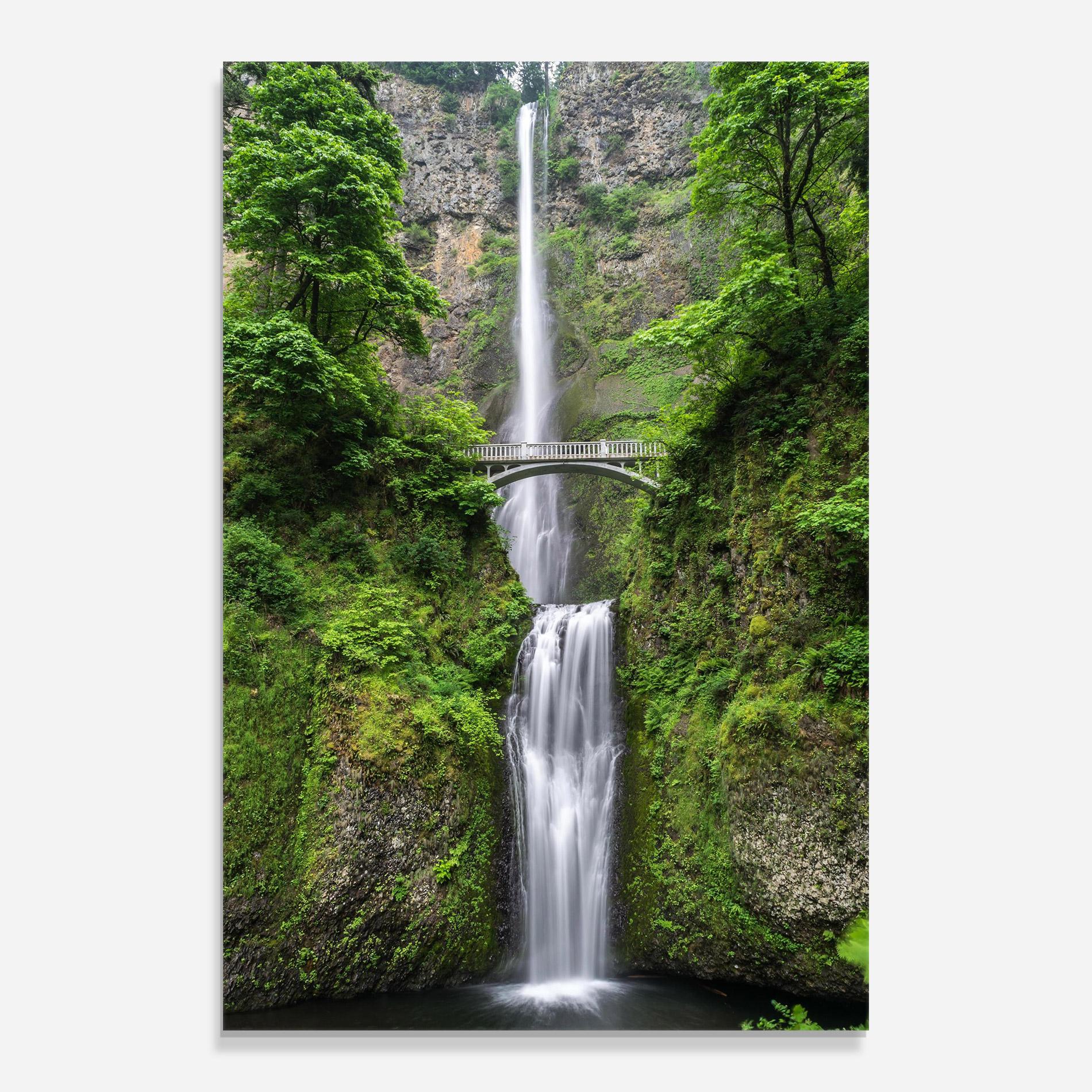 Tablou Sticla Green Leaves Bridge View mockup 0