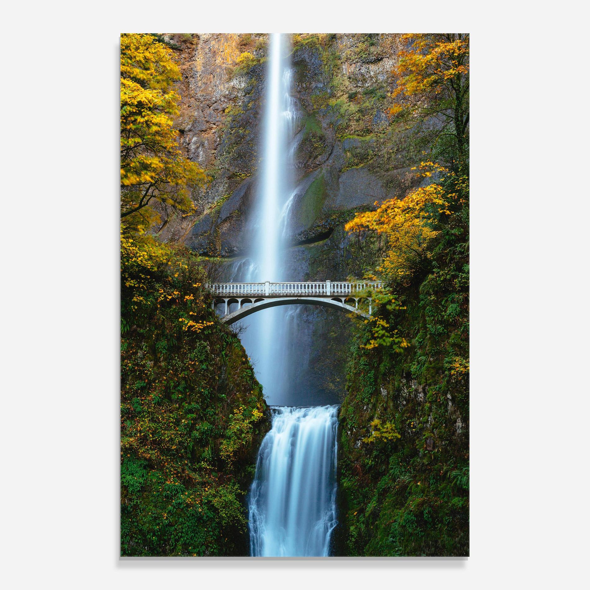 Tablou Sticla Yellow Leaves Bridge mockup 0