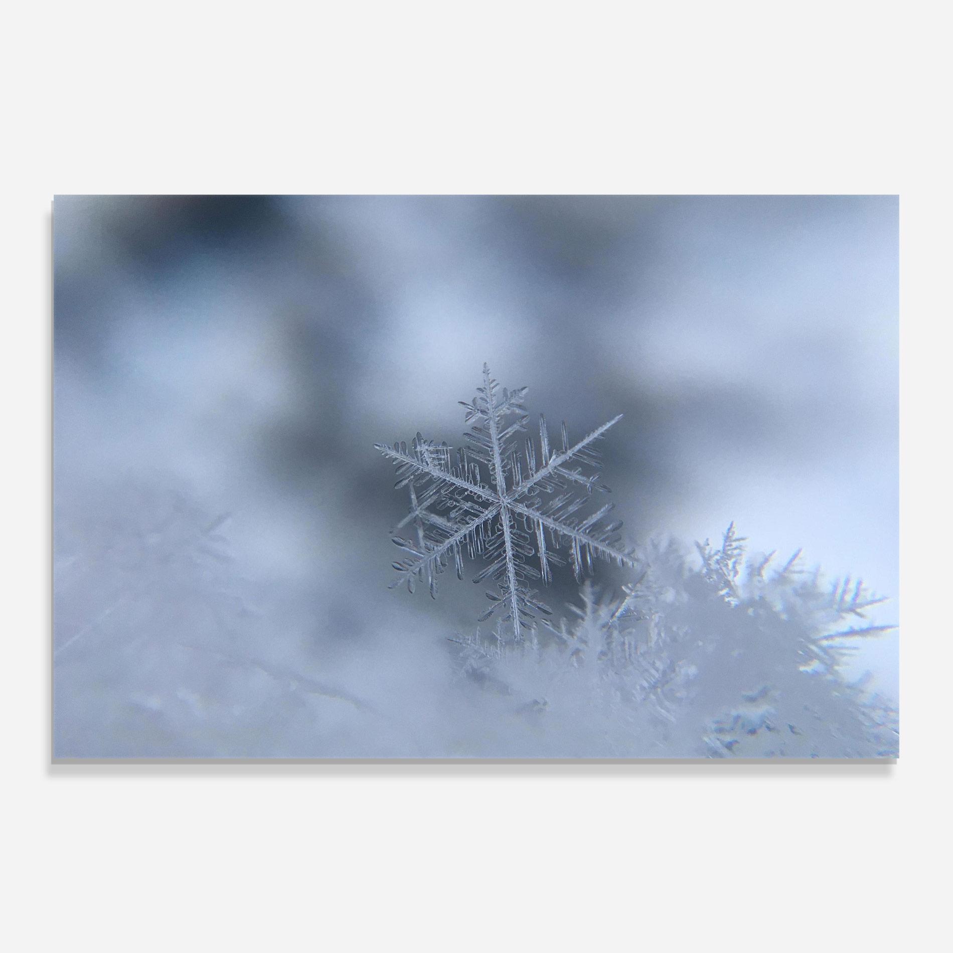 Tablou Sticla Pretty Snowflake mockup 0