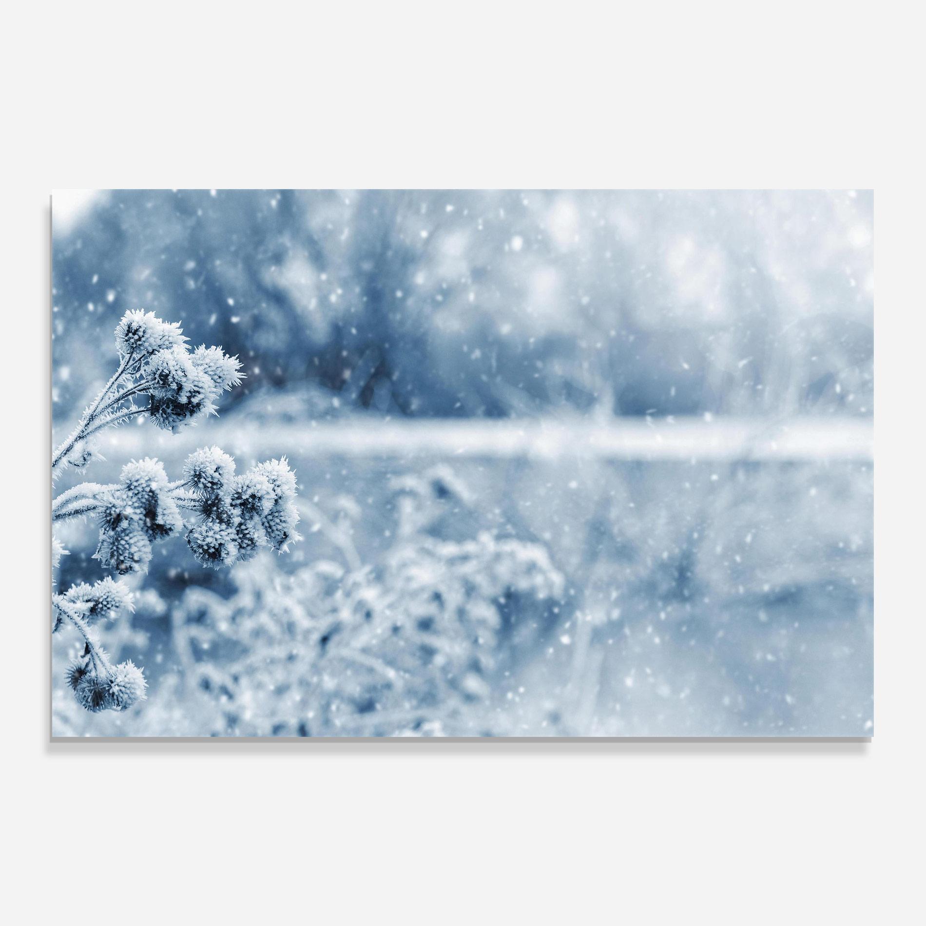 Tablou Sticla Pretty Winter Plants mockup 0