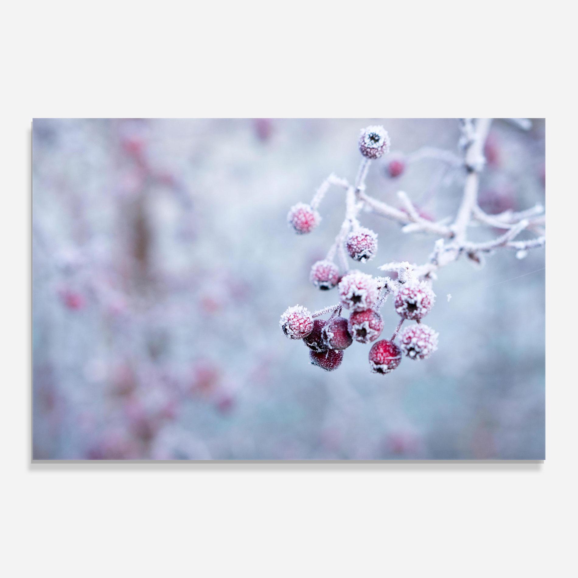 Tablou Sticla Red Winter Fruits mockup 0