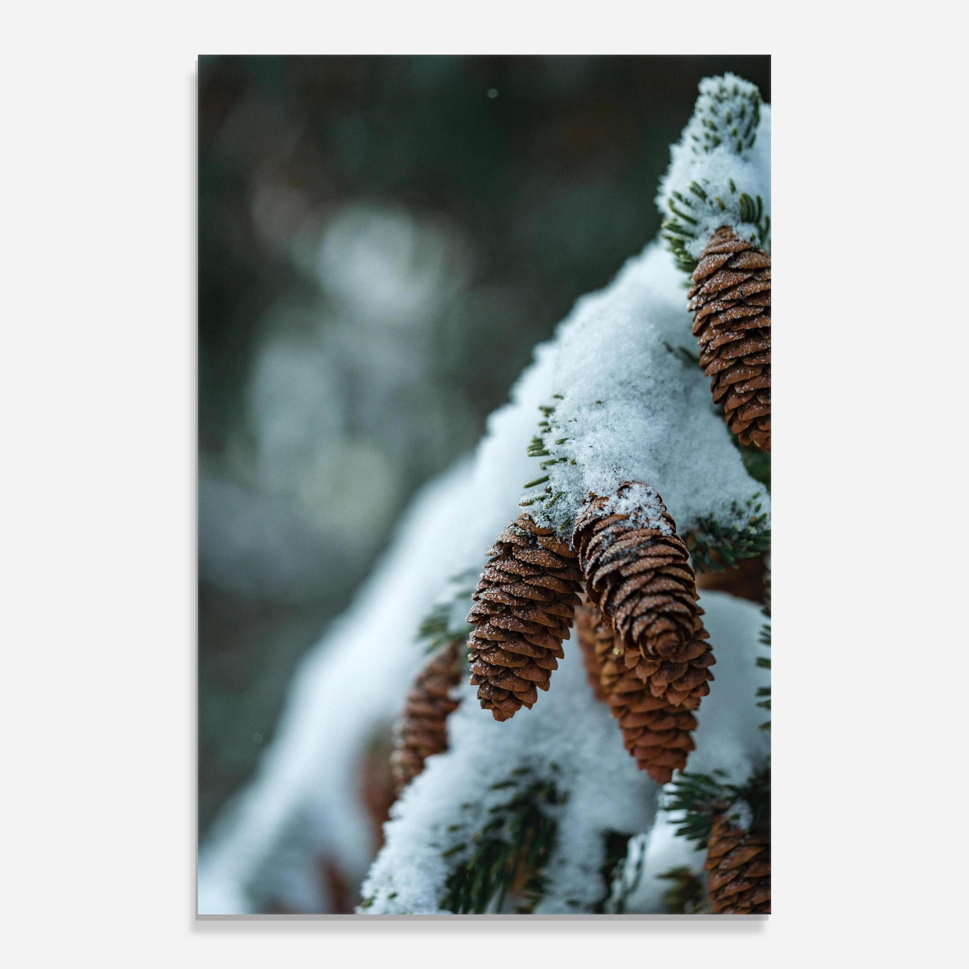 Tablou Sticla Pretty Snow Cones mockup 0