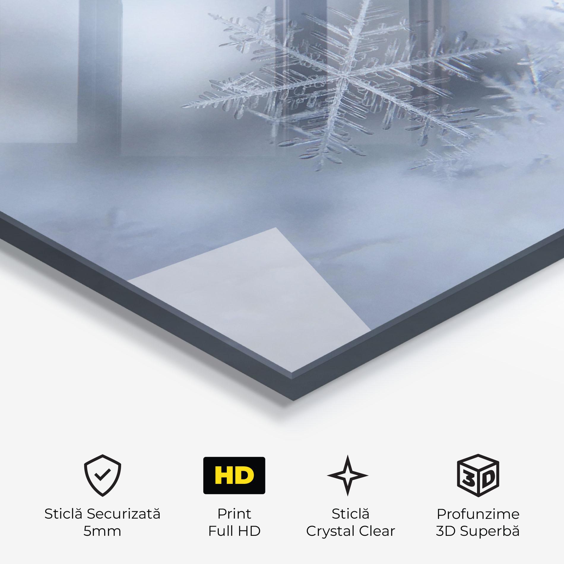 Tablou Sticla Pretty Snowflake mockup 3