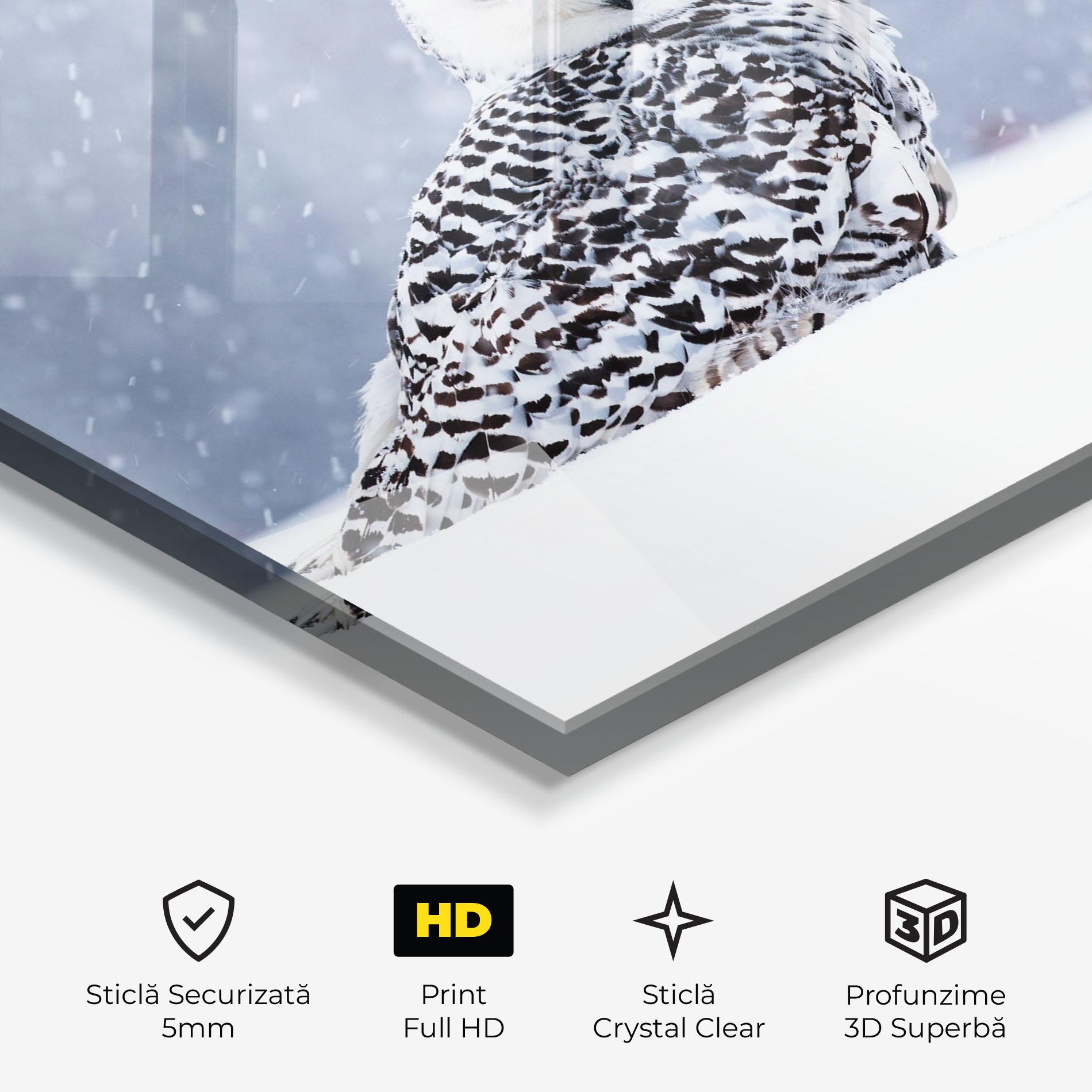 Tablou Sticla Snow Owl mockup 3