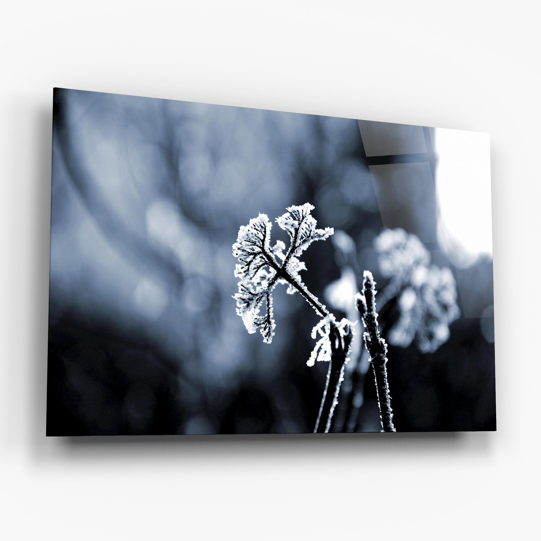 Tablou Sticla Winter Plant mockup 6