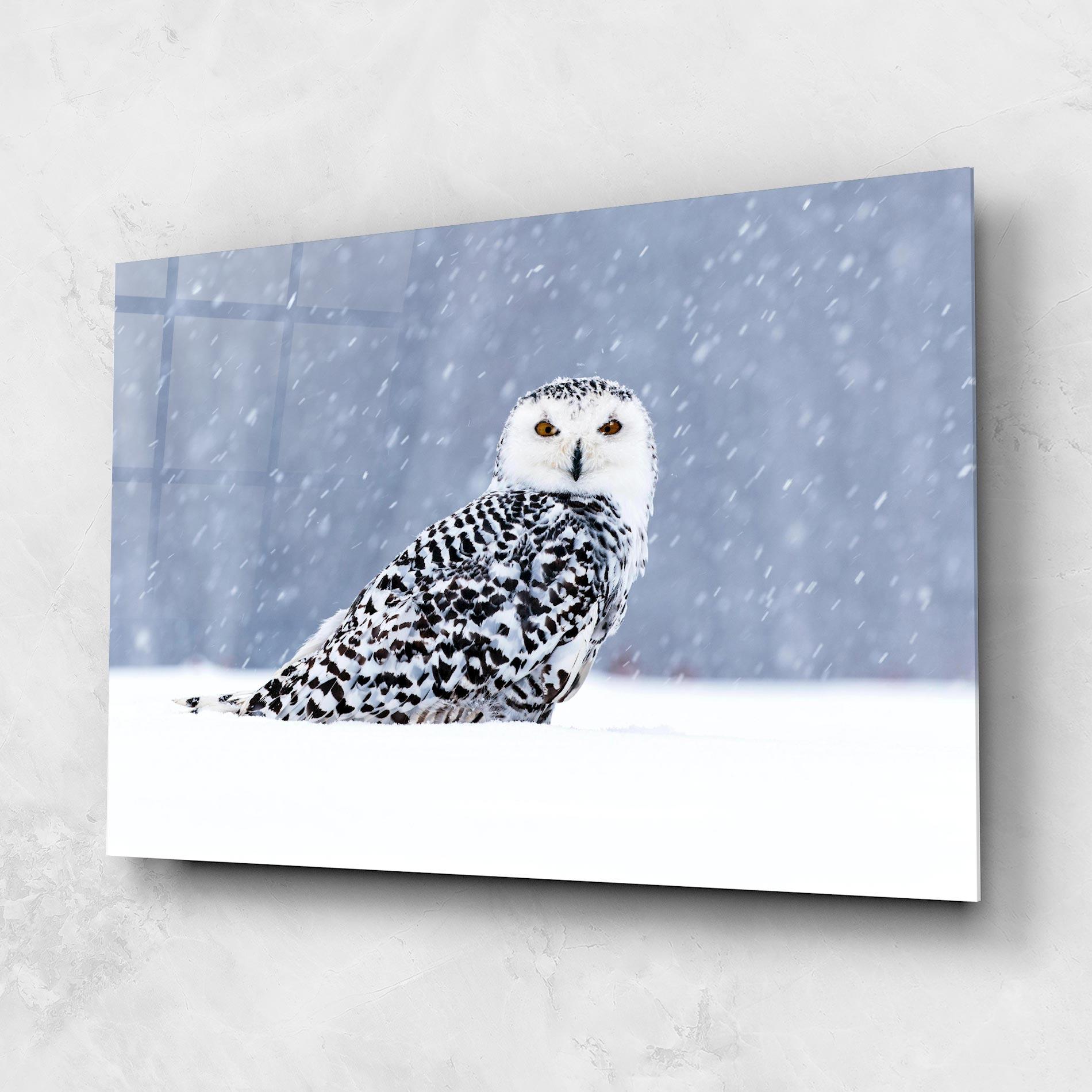 Tablou Sticla Snow Owl mockup 1