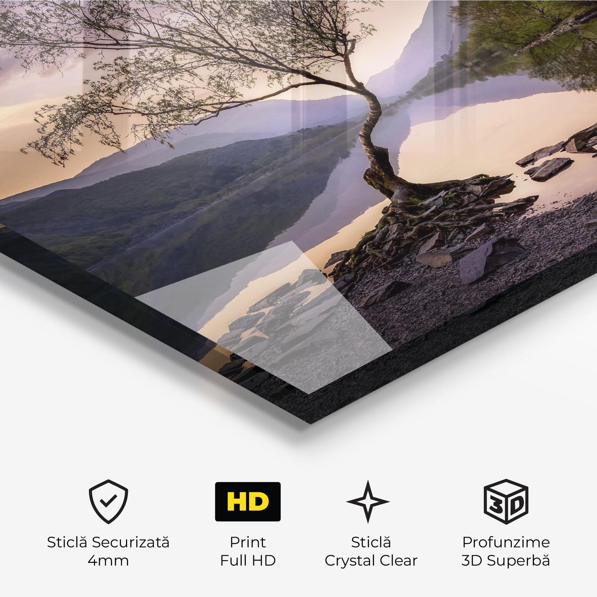 Tablou Sticla Lone Tree mockup 3