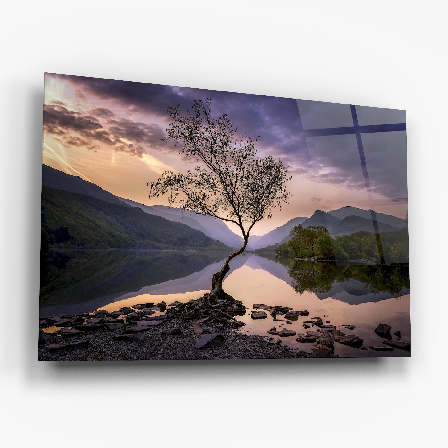 Tablou Sticla Lone Tree mockup 6