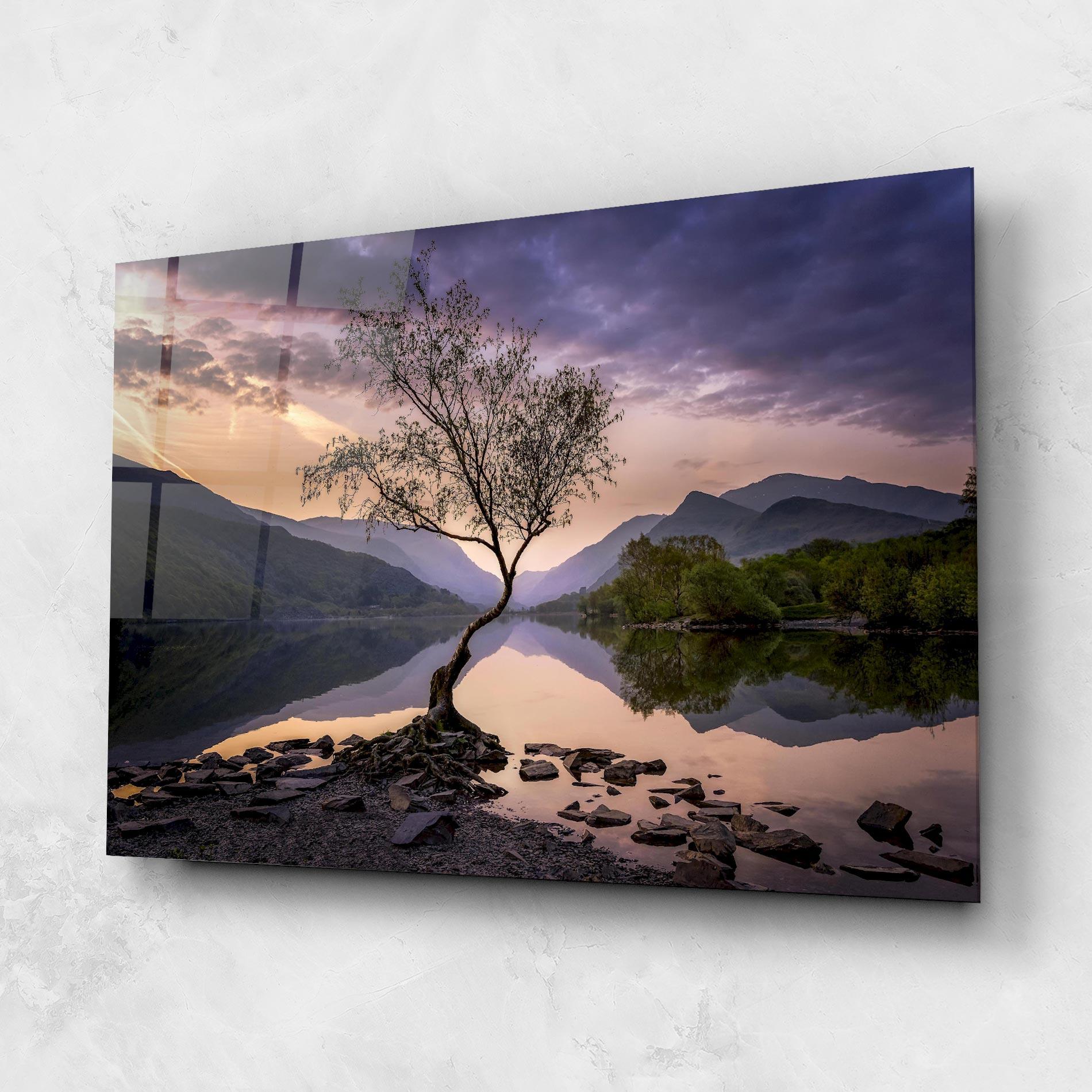 Tablou Sticla Lone Tree mockup 1