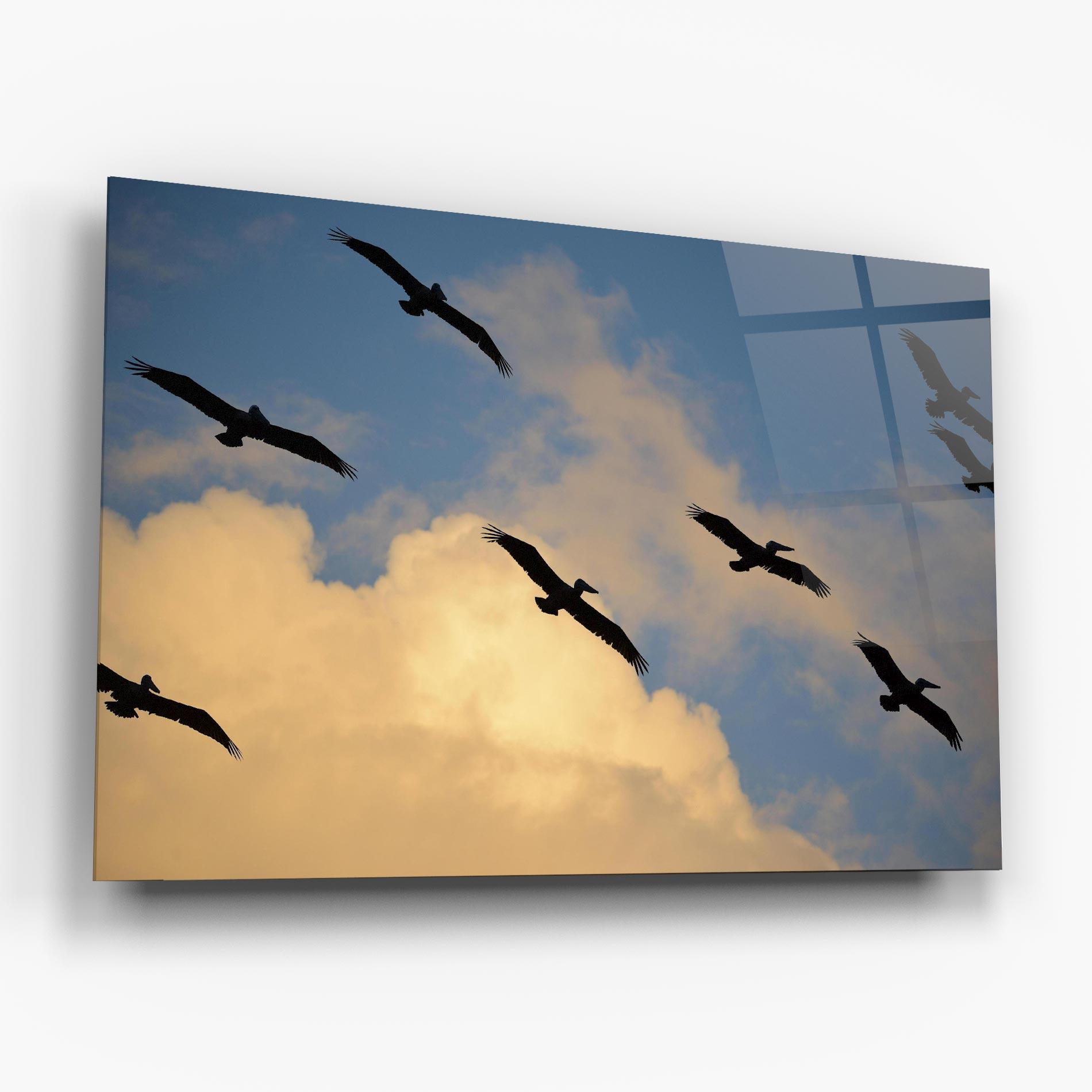 Tablou Sticla Bird Shilouette Cloud mockup 6